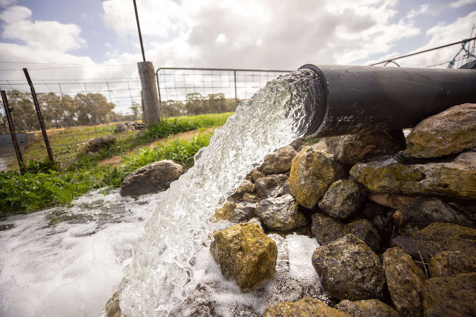 Additional image 17 of 546 Bool Lagoon West Road, Penola SA 5277
