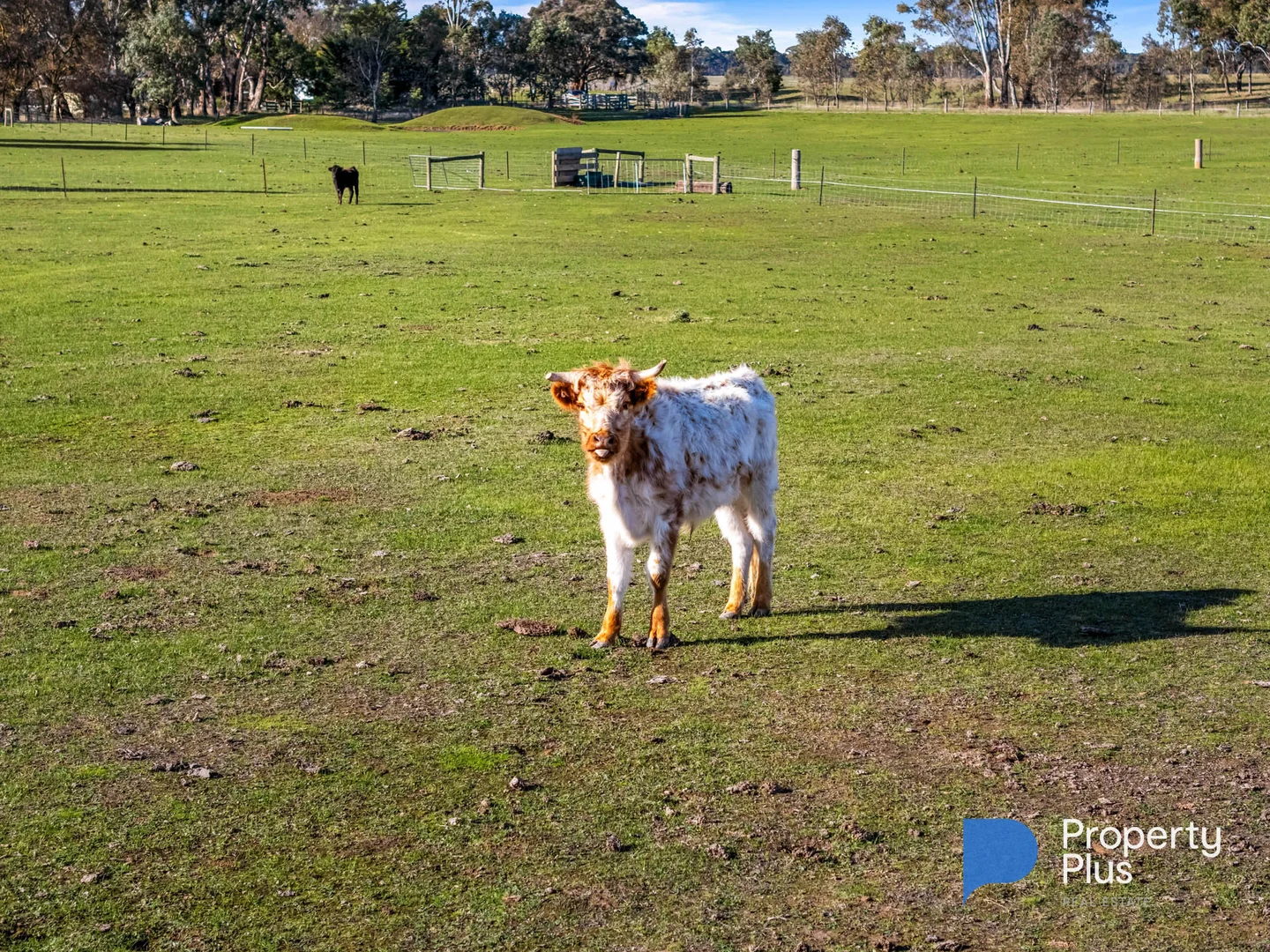 Additional image 4 of 20 Kayes Road, Craigie VIC 3465