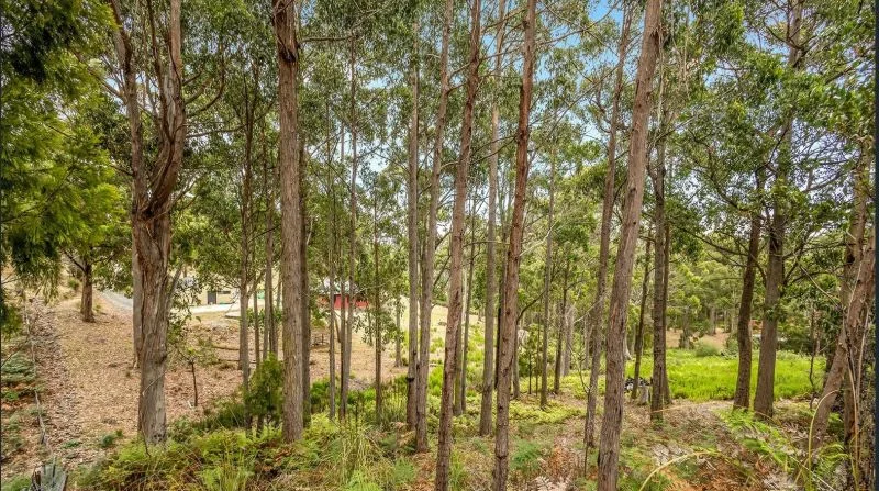 Additional image 8 of 1 Woodland Grove, Tugrah TAS 7310