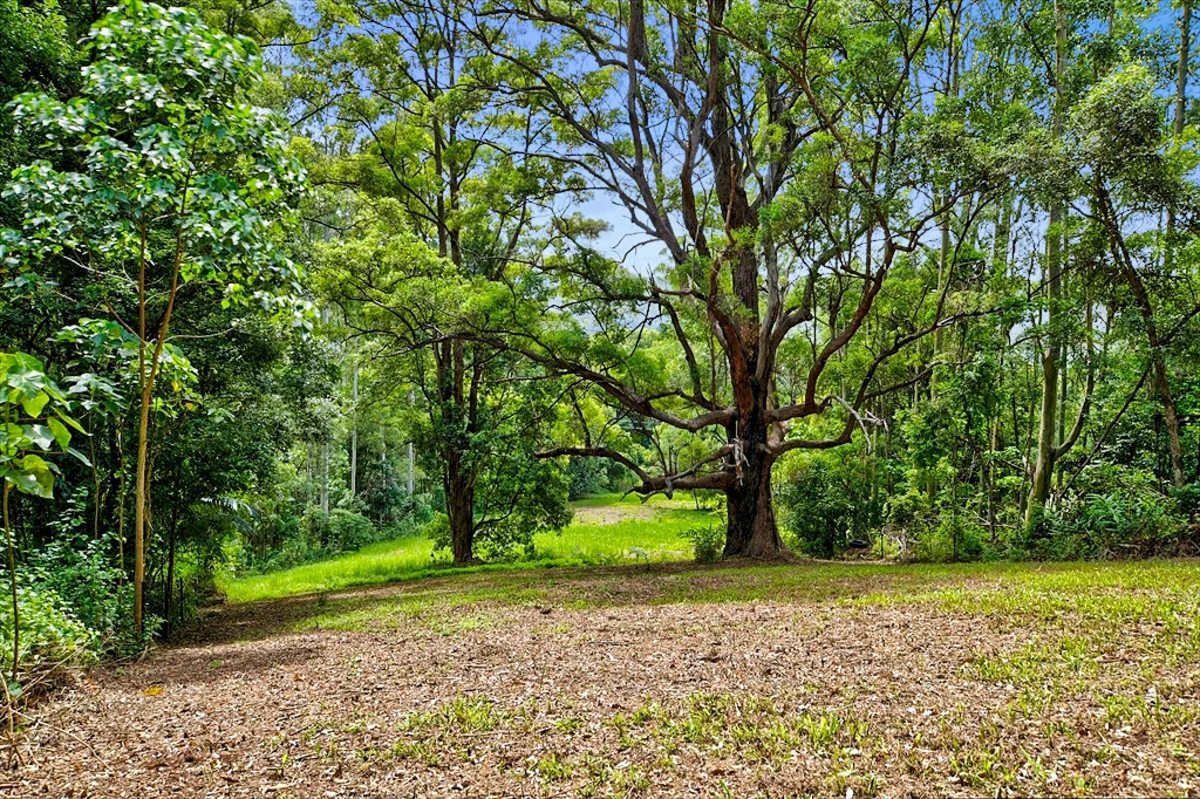 Additional image 15 of 106 Rose Road, Tuntable Creek NSW 2480