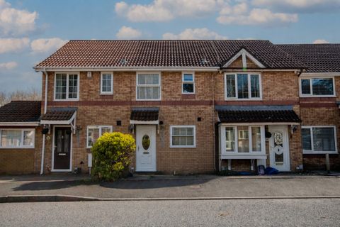 Coedriglan Road, Cardiff CF5