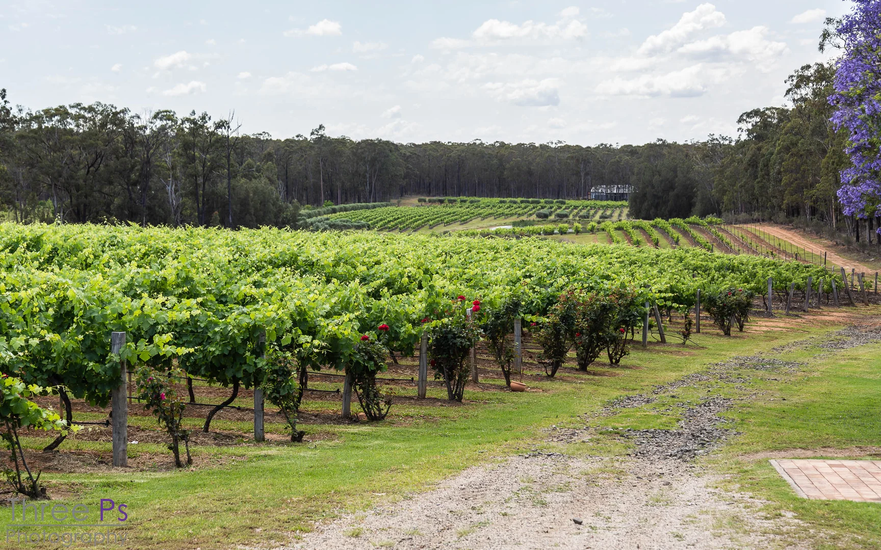 Additional image 4 of 725 Hermitage Road, Pokolbin NSW 2320