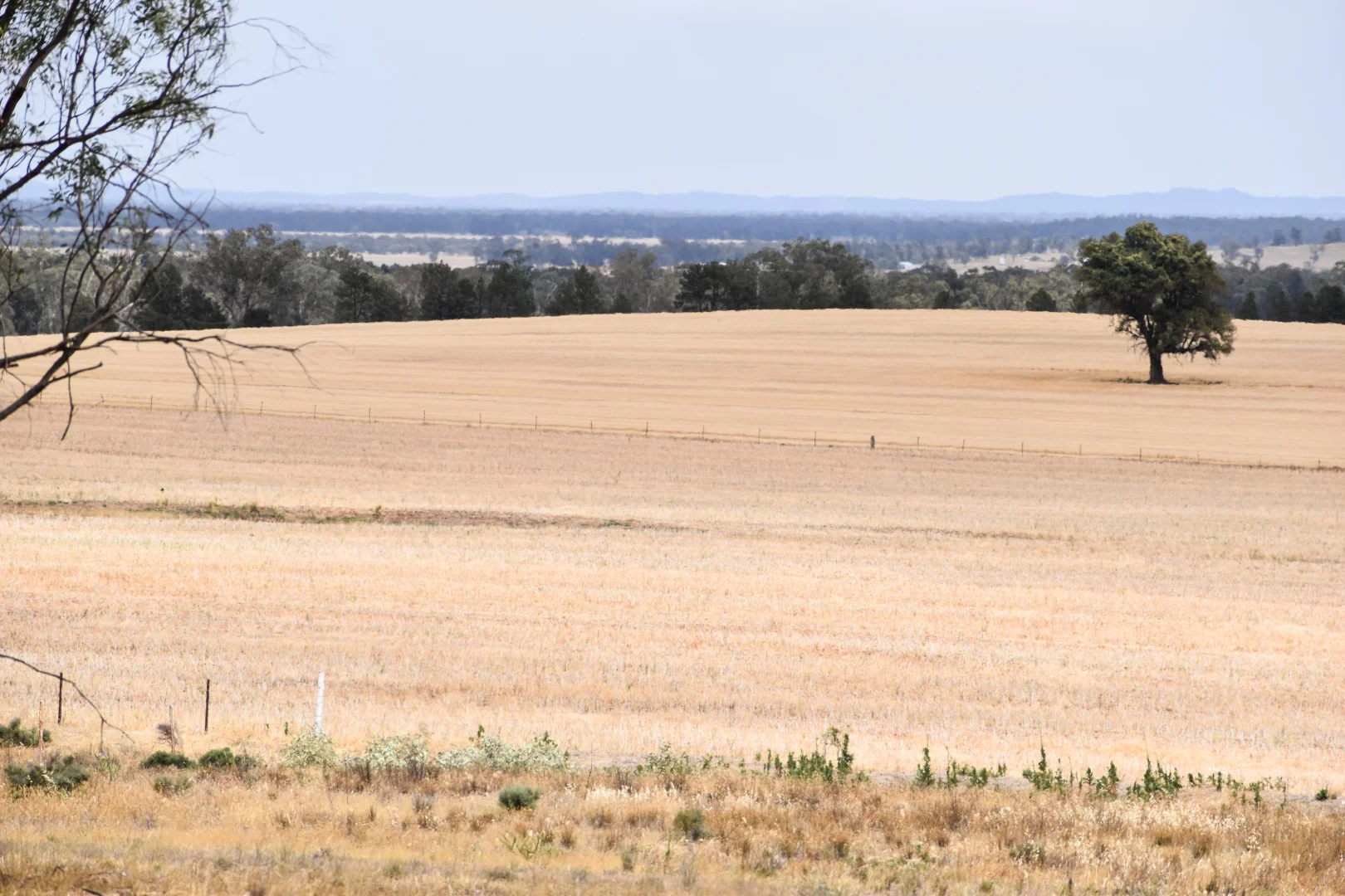 Additional image 2 of 76 Kerrs Lane, Caragabal NSW 2810