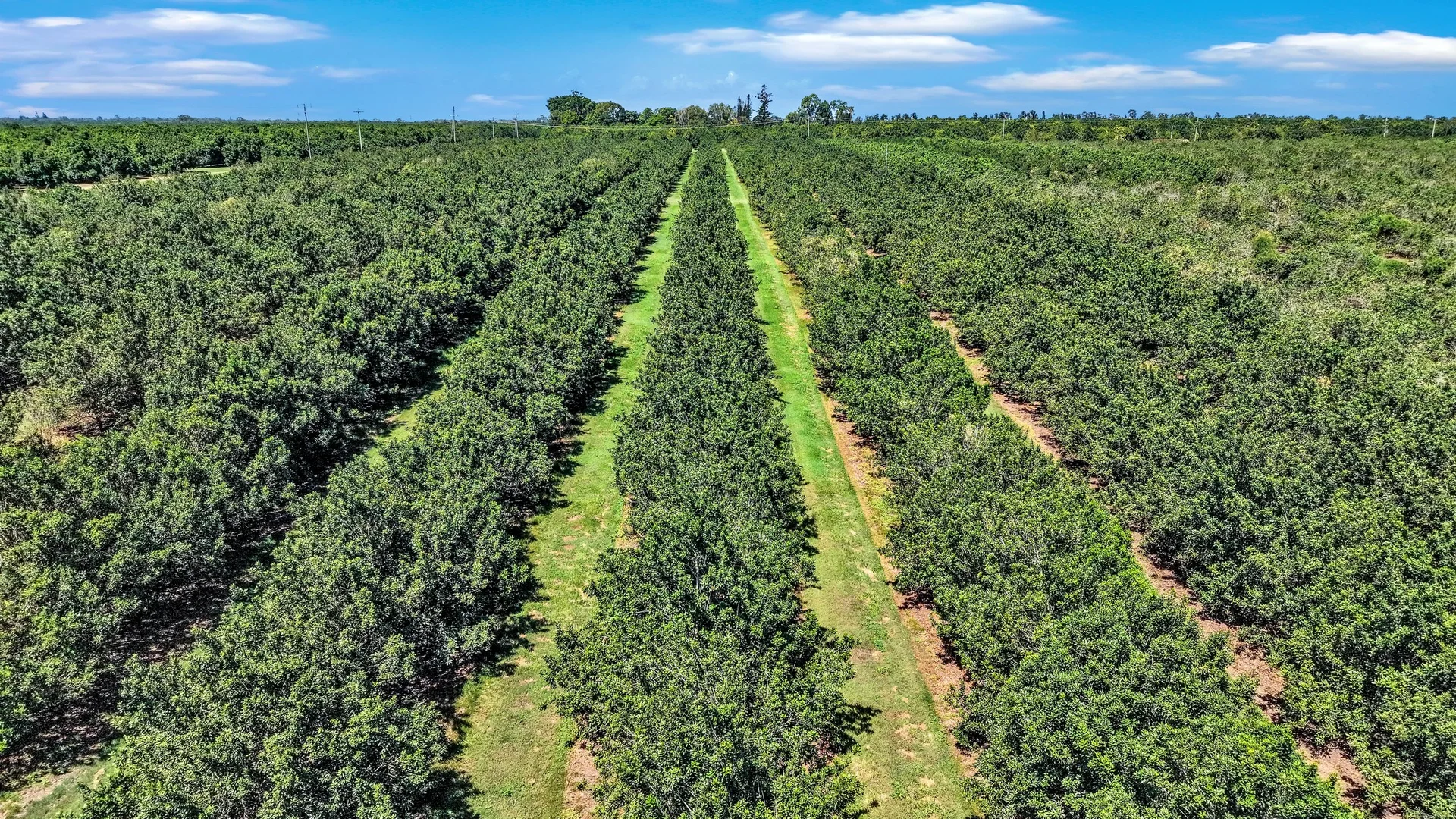 Additional image 8 of 195 Pashleys Road, Welcome Creek QLD 4670