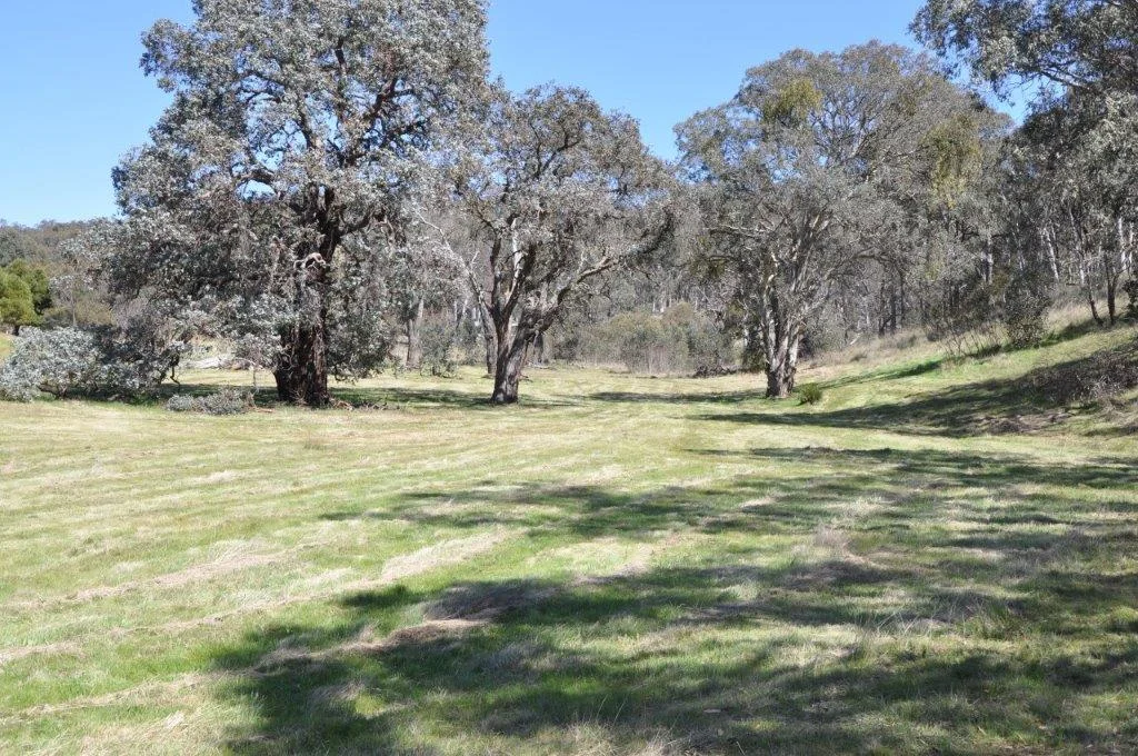 Additional image 7 of 111 Johnsons Road, Yass River NSW 2582