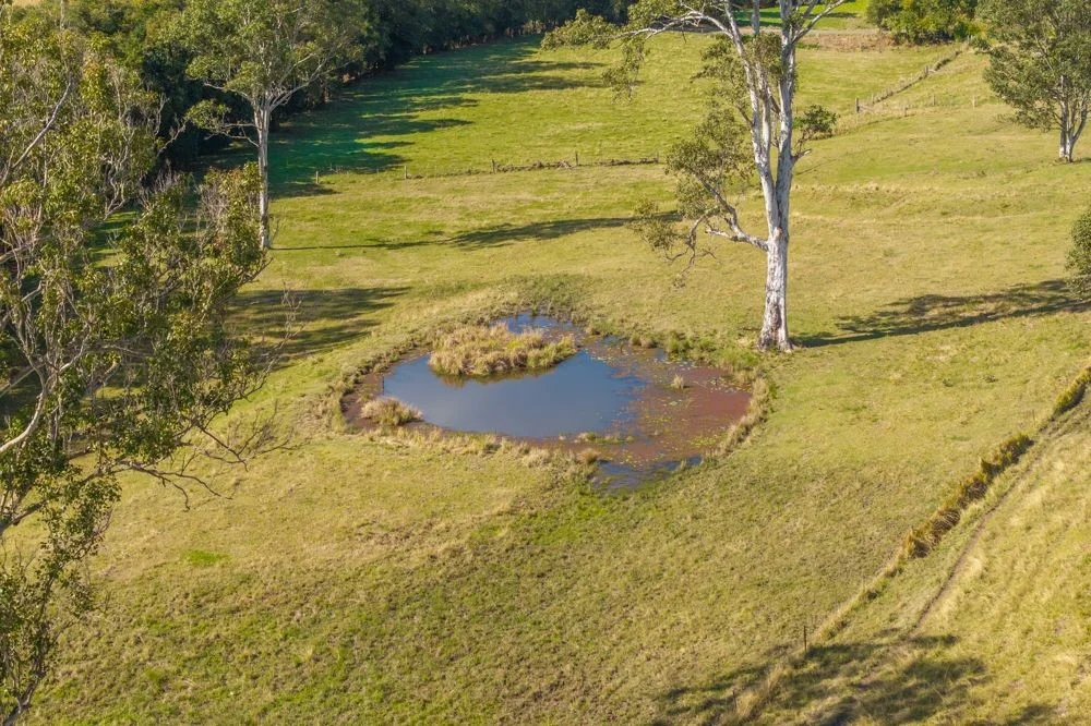 Additional image 7 of LOT 1 of 449 Hickeys Creek Road, Millbank NSW 2440