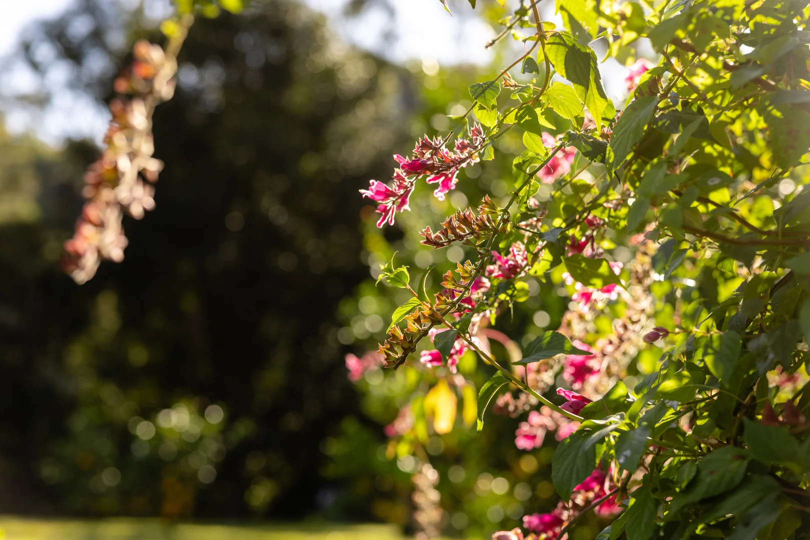 Additional image 6 of 132 Little Run Road, Wherrol Flat NSW 2429