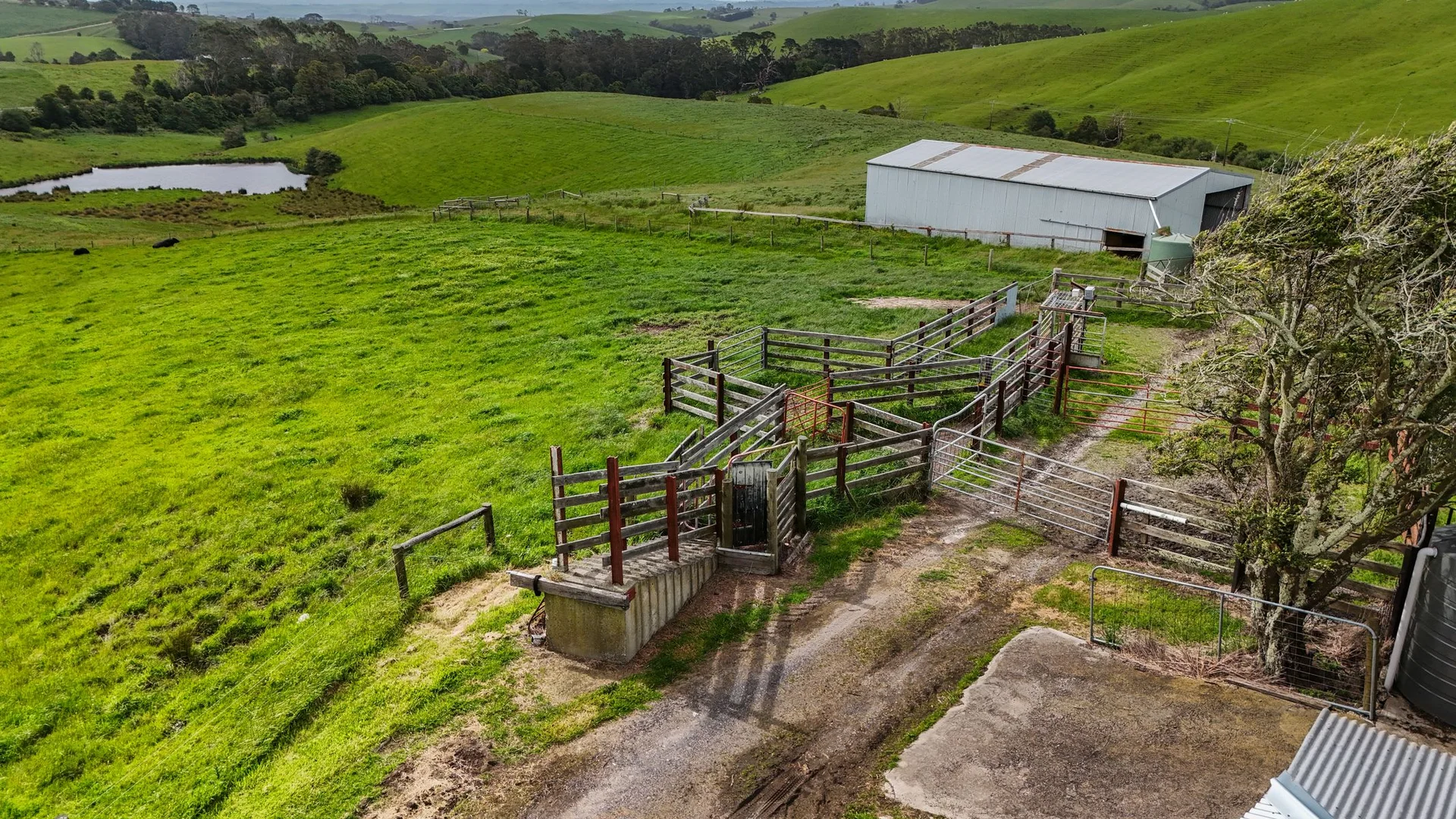 Additional image 20 of 3015 South Gippsland Highway, Stony Creek VIC 3957