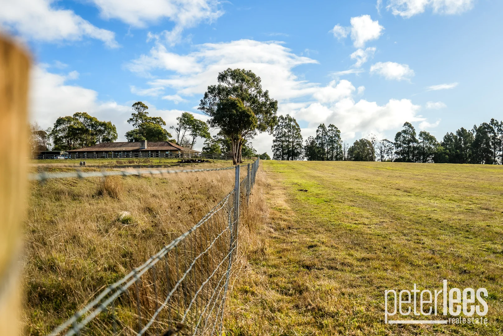 Additional image 6 of 1/258 Jones Street, Westbury TAS 7303