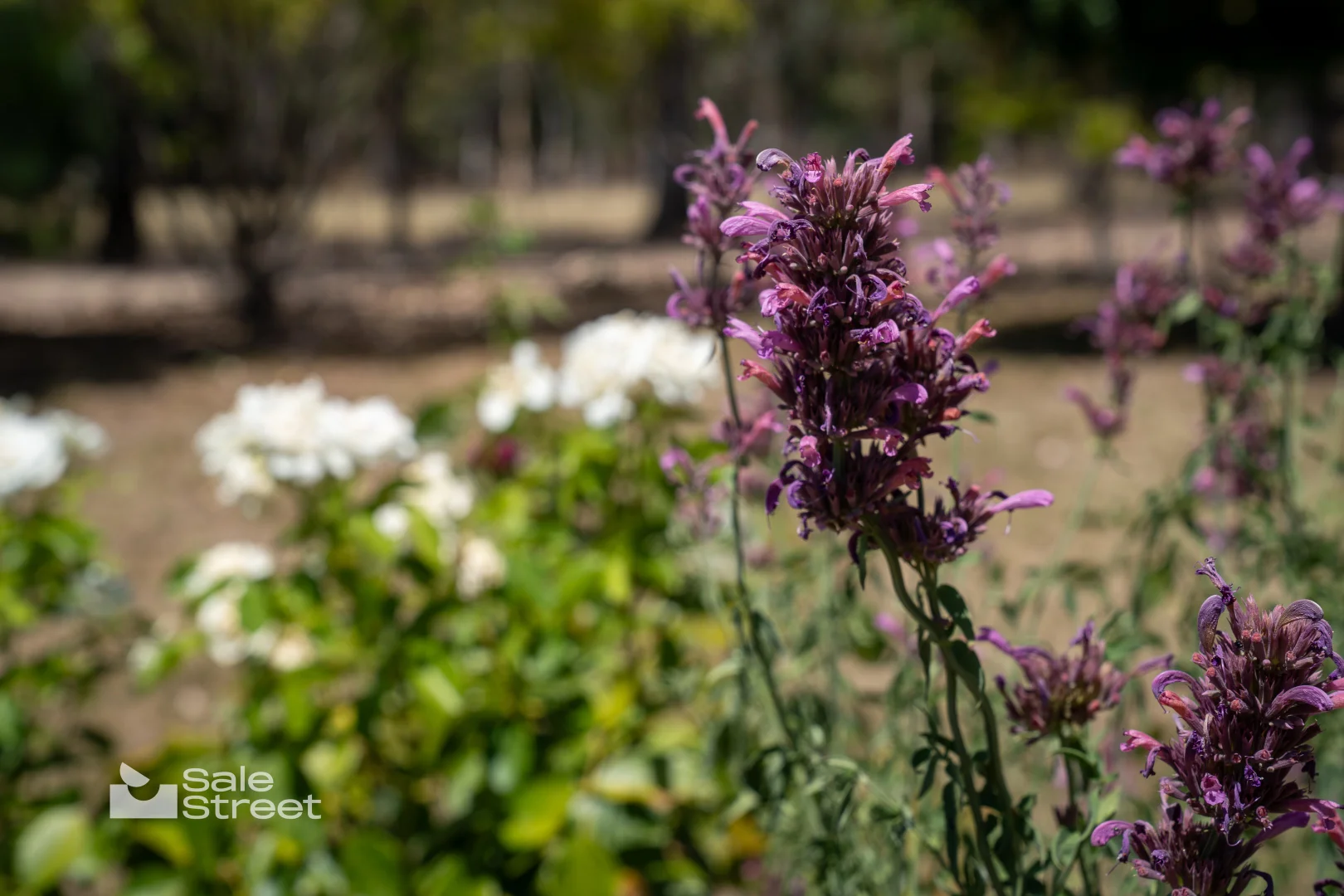 Additional image 20 of 90 Convent Lane, Borenore NSW 2800