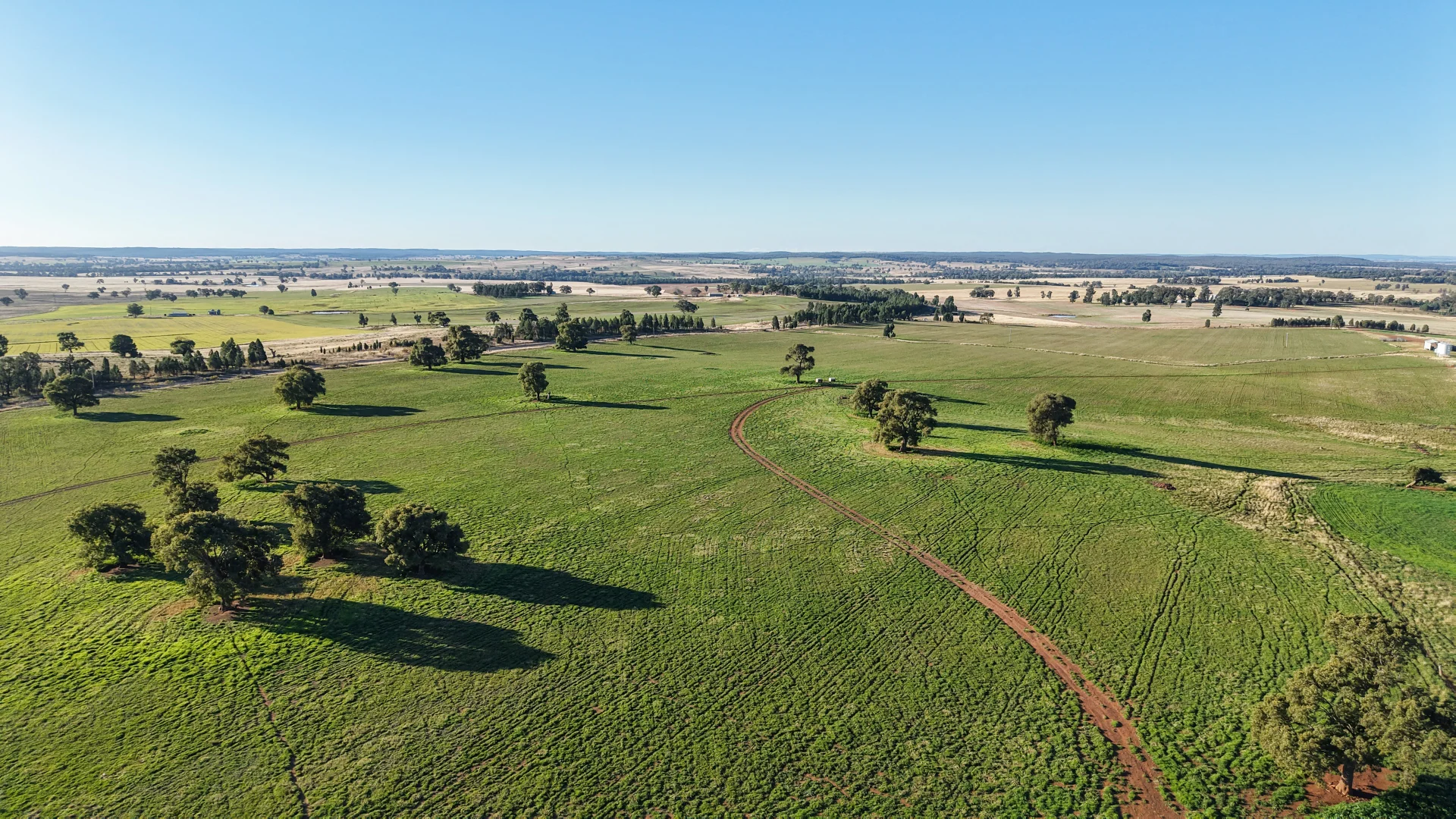 Additional image 5 of 38 Tallawonga Road, Elong Elong NSW 2831