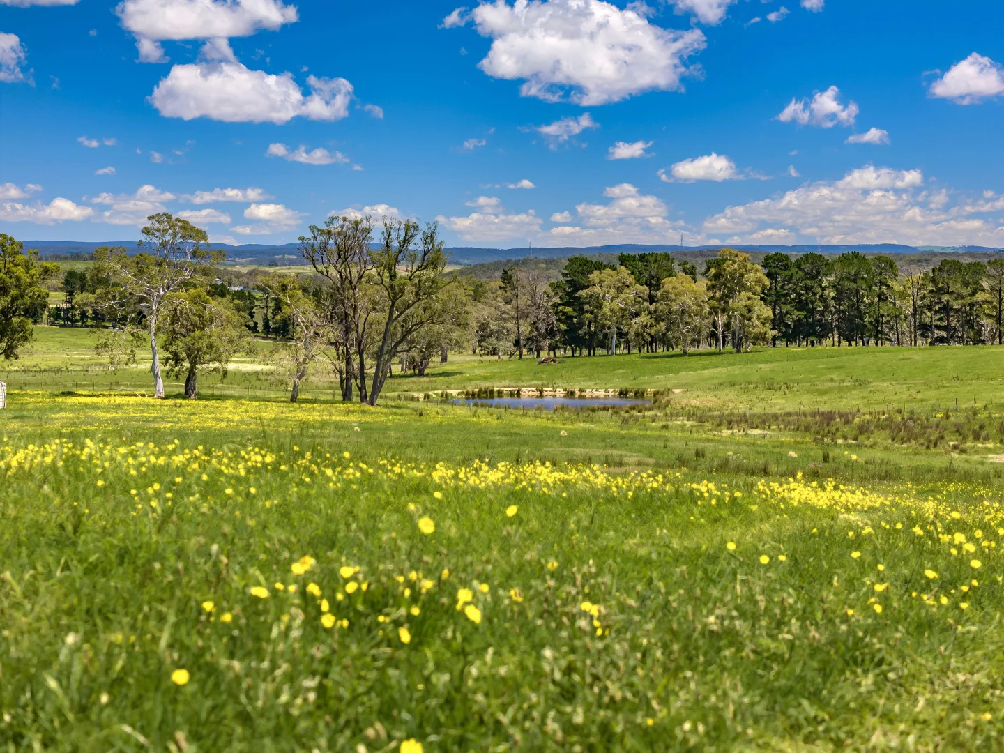 Additional image 17 of 1777 Canyonleigh Road, Canyonleigh NSW 2577