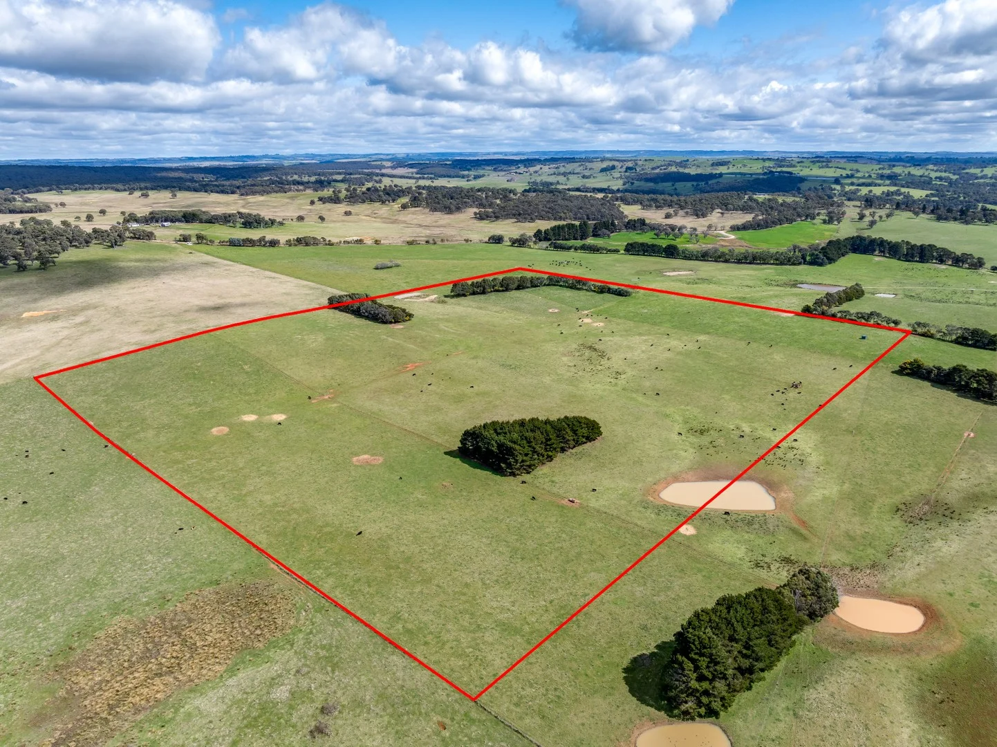 Additional image 4 of 85/1182 Yalbraith Road, Taralga NSW 2580