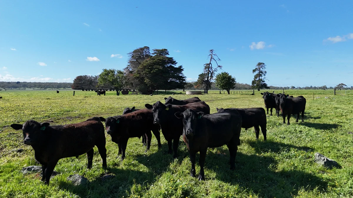 Additional image 5 of 61 Purrumbete Estate Road, Koallah VIC 3260