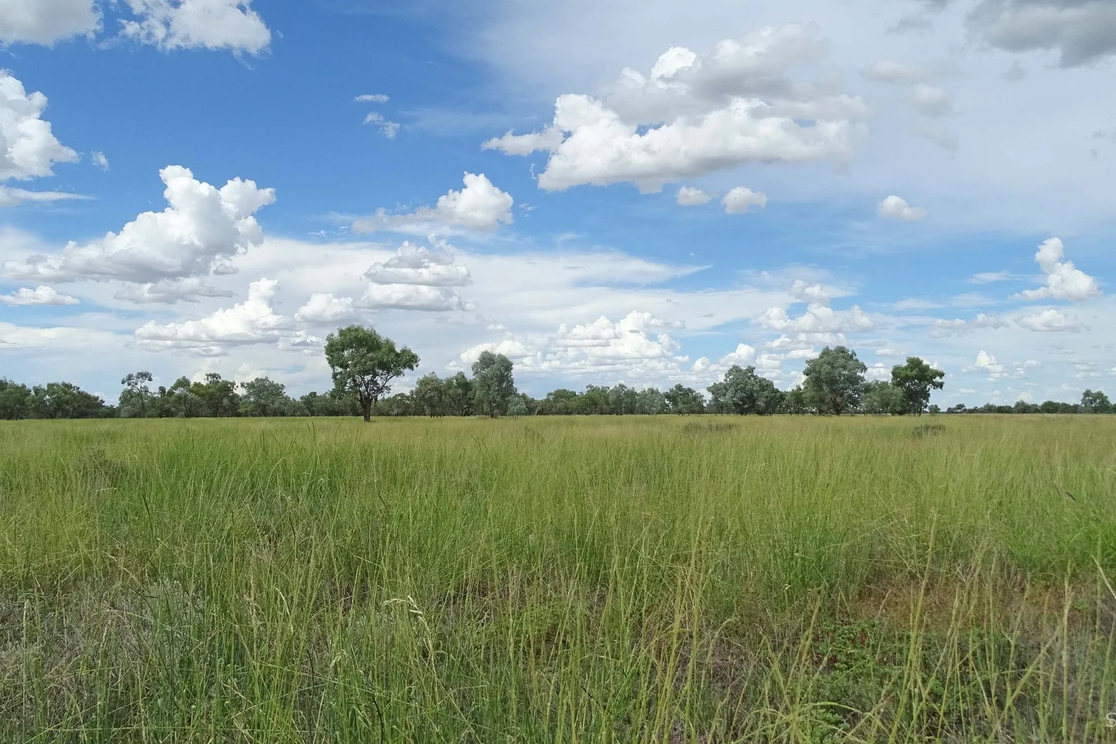 Additional image 6 of 645 Kamilaroi Highway, Bourke NSW 2840