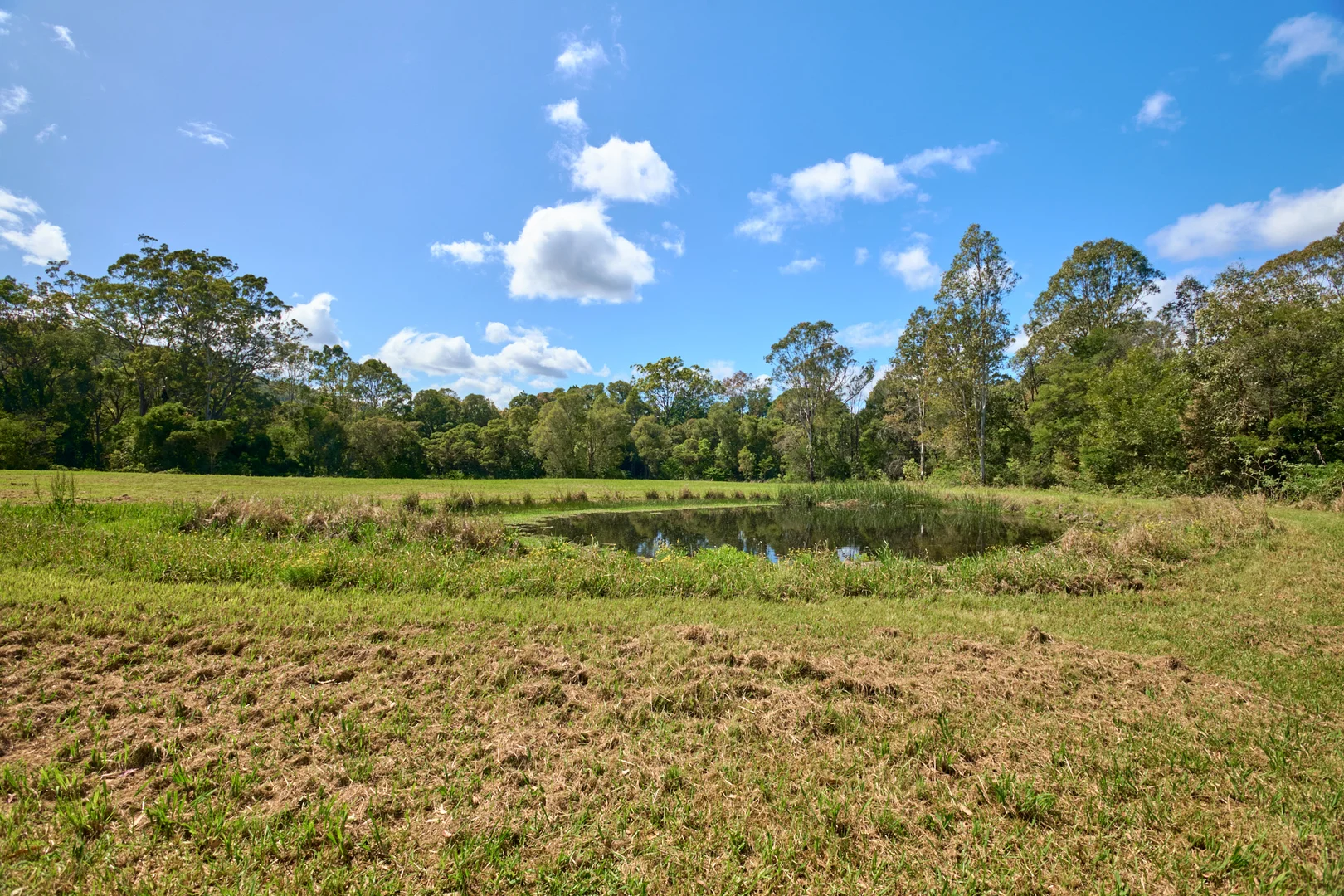 Additional image 19 of 10 Markwell Back Road, Bulahdelah NSW 2423