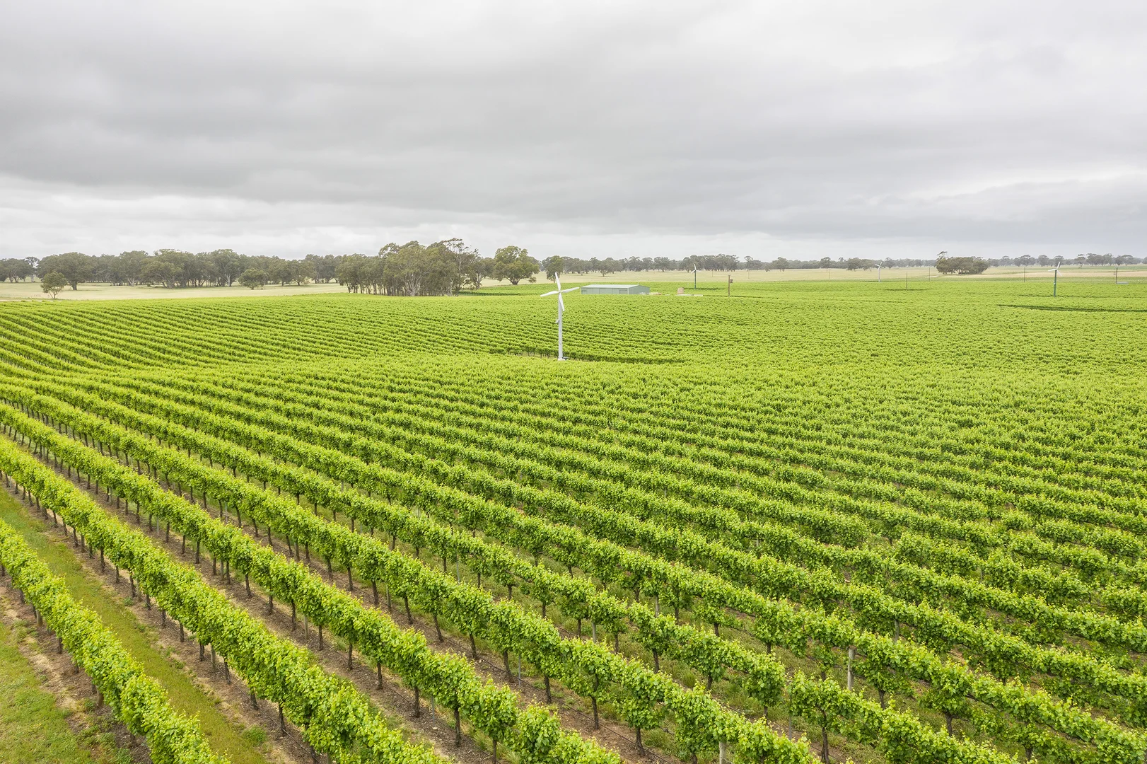 Additional image 8 of Nolans Road, Hynam SA 5262