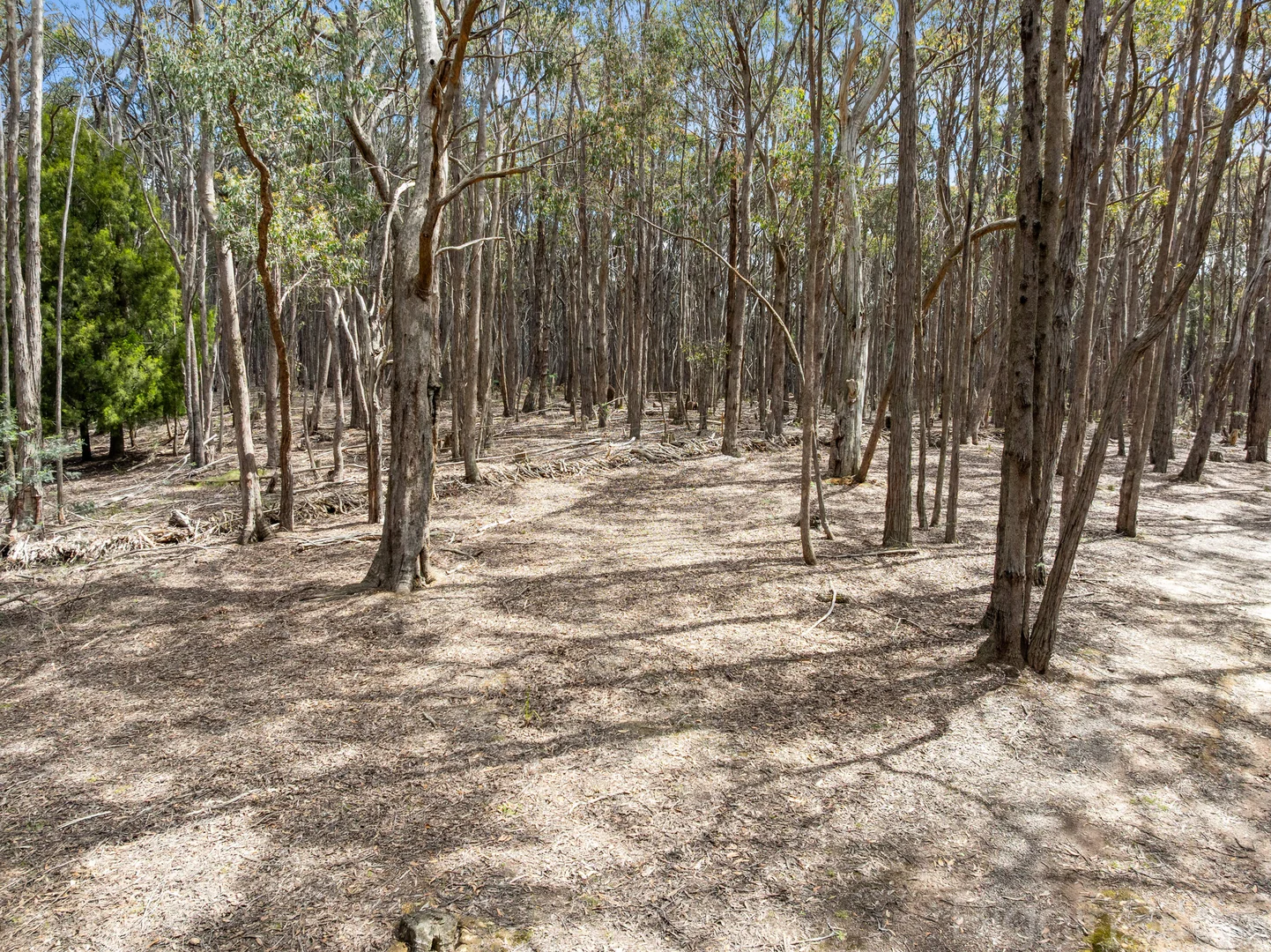 Additional image 9 of 184 Tori's Road, Glenlyon VIC 3461