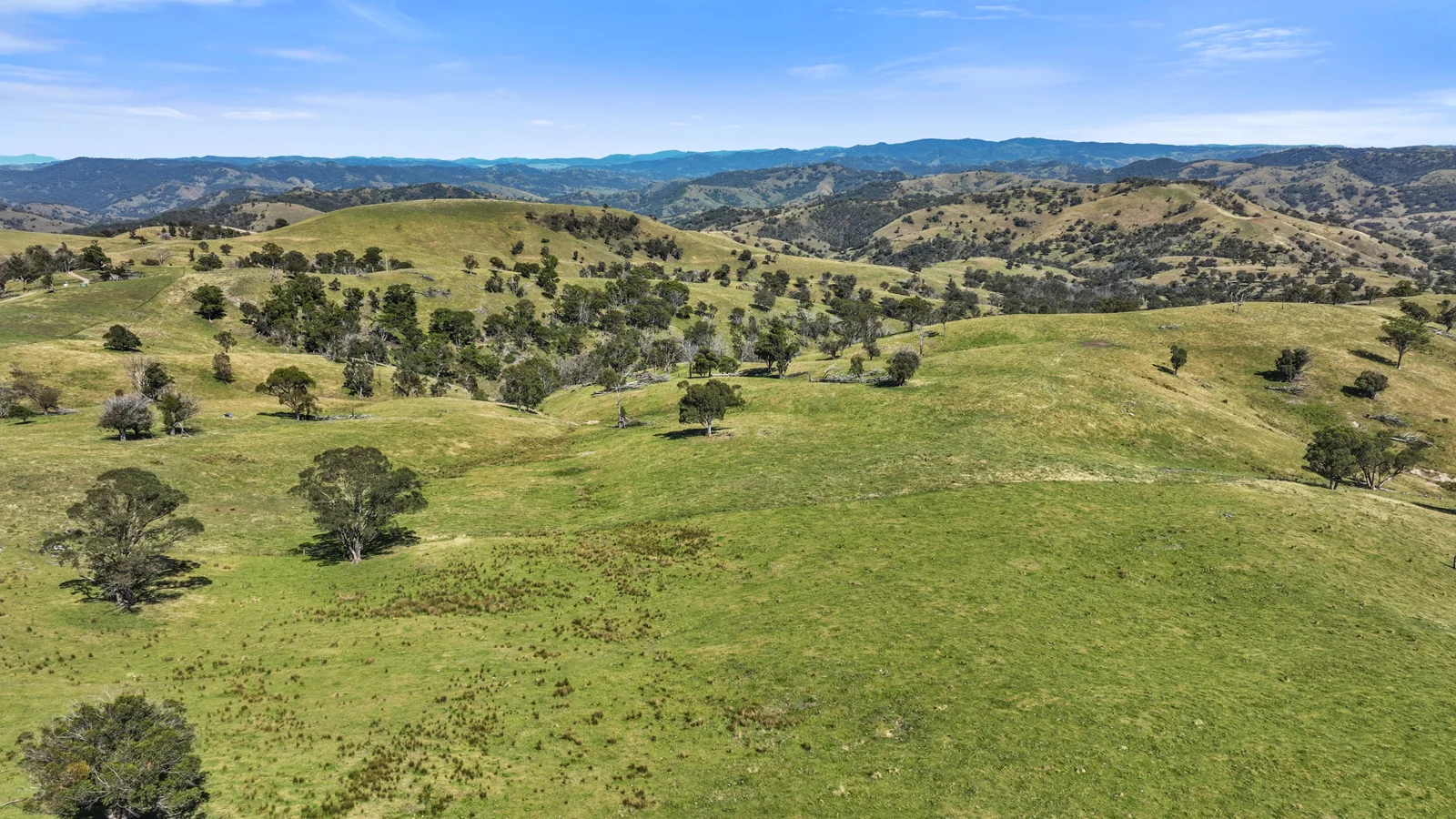 Additional image 13 of "Arawa" 2388 Campfire Road, Walcha NSW 2354