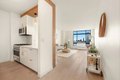 Additional image 7 of 350 Albany St Apt 8A, Manhattan, NY, 10280