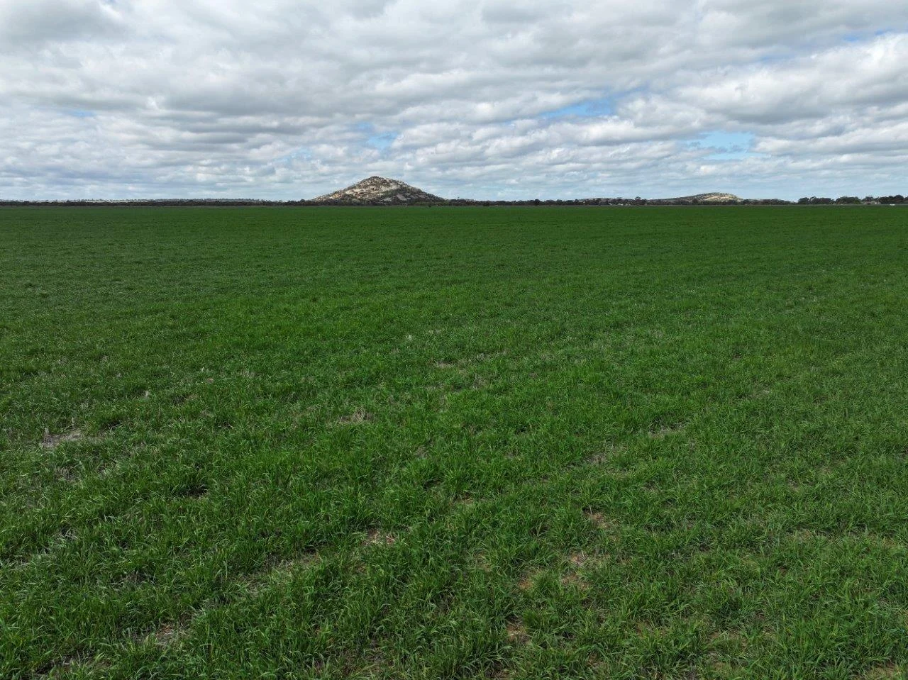 Additional image 7 of - Oneil Street, Pyramid Hill VIC 3575