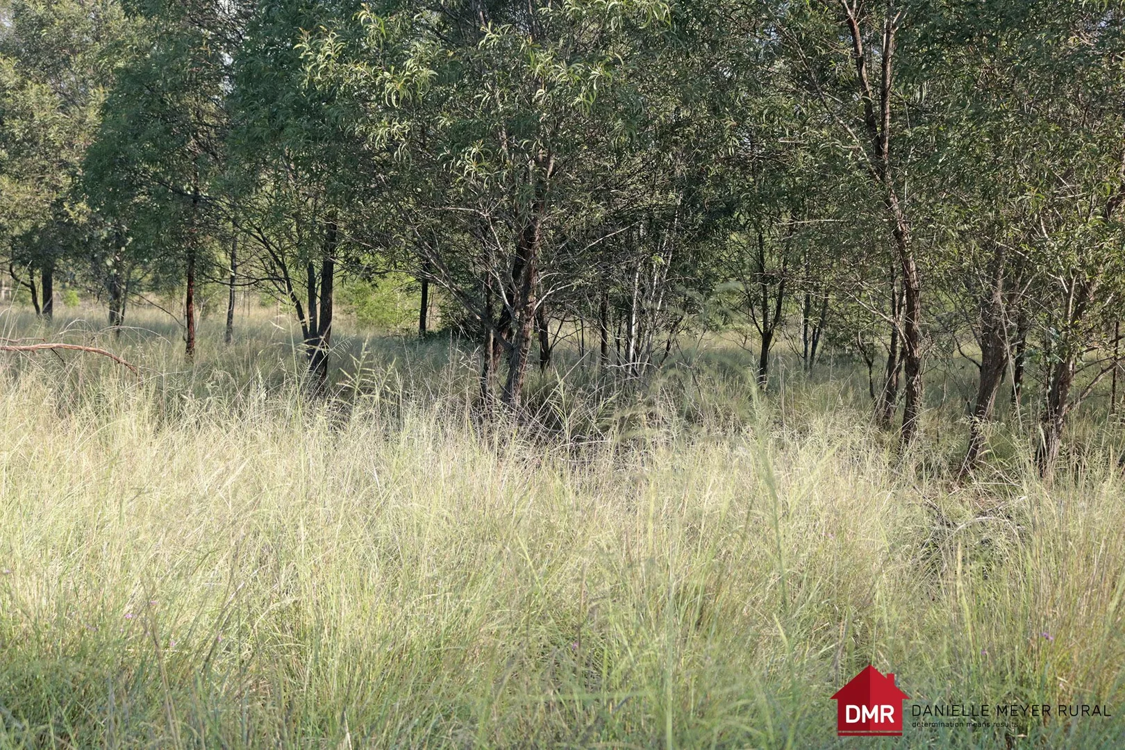 Additional image 21 of 24754 Burnett Highway, Ceratodus QLD 4627