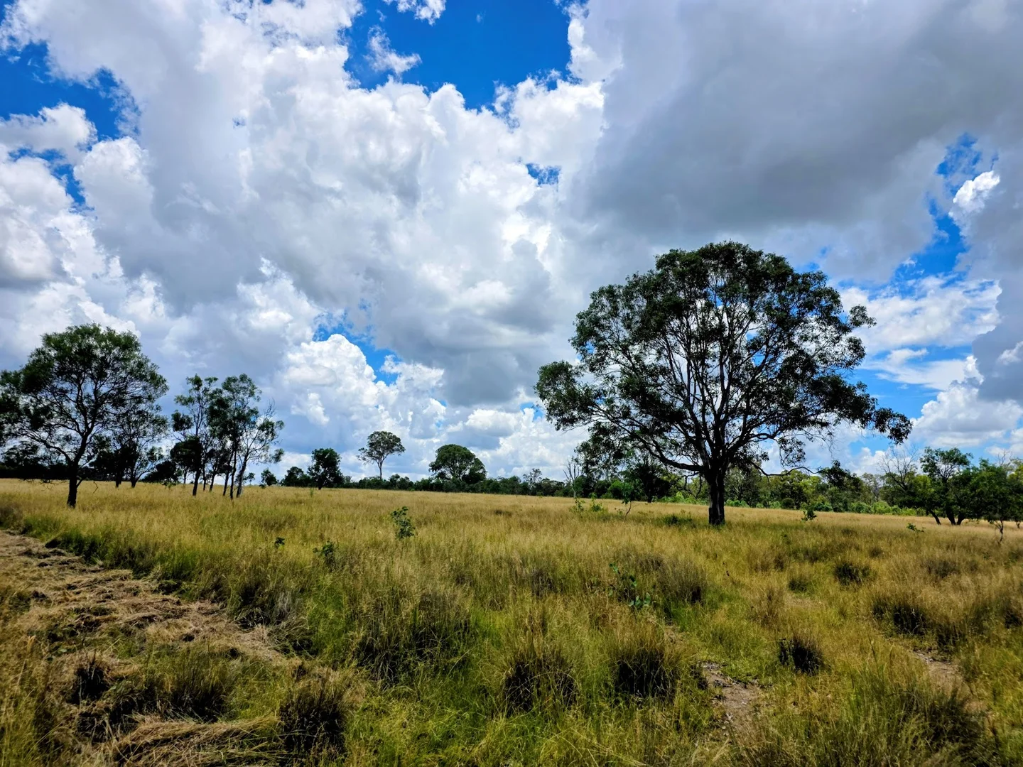 Additional image 8 of Lot 24 Cnr. of the New England Highway & Jacob Road, Crows Nest QLD 4355