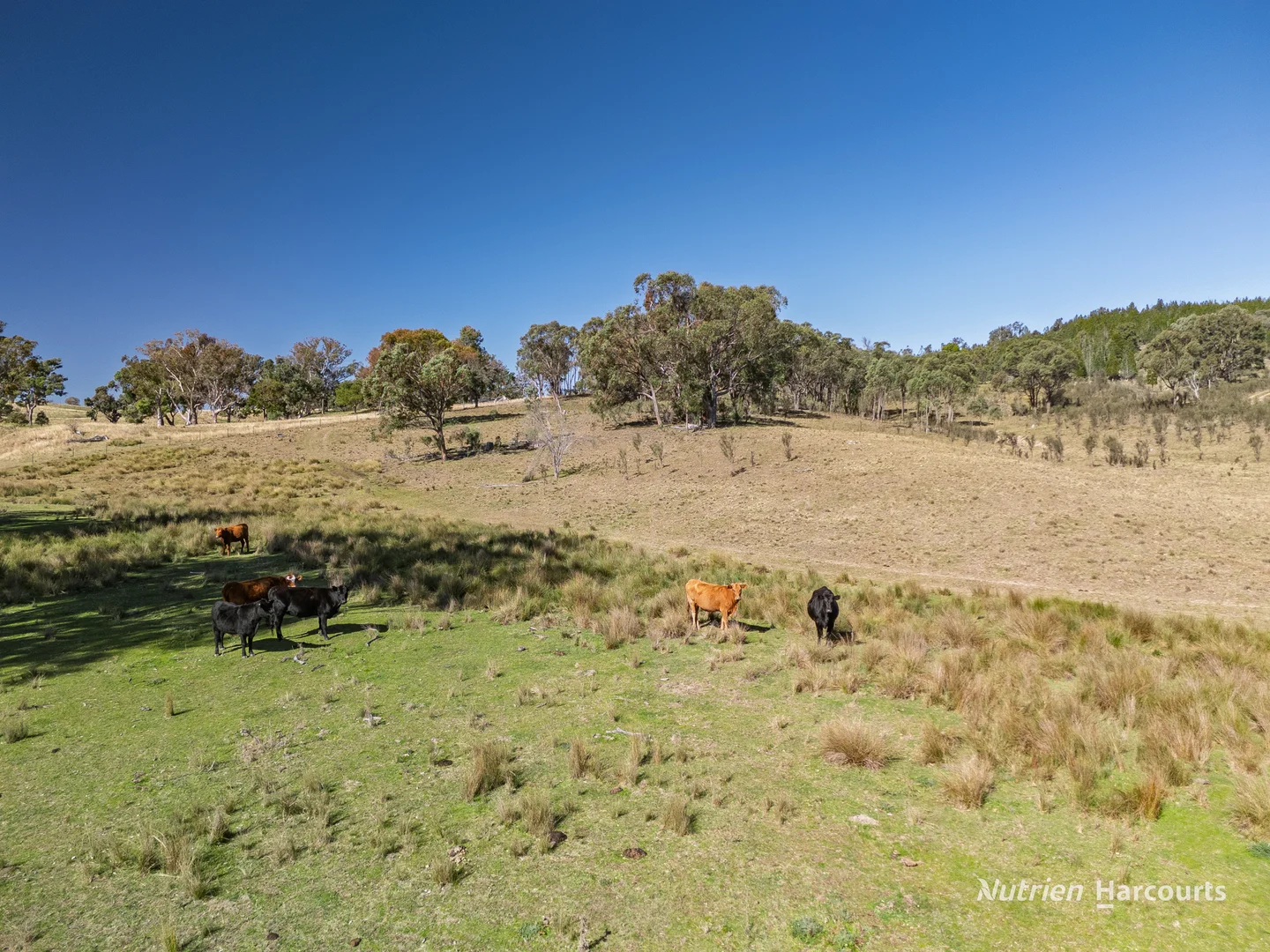 Additional image 24 of 206 - 208 Rocky Glen Road, Kingstown NSW 2358