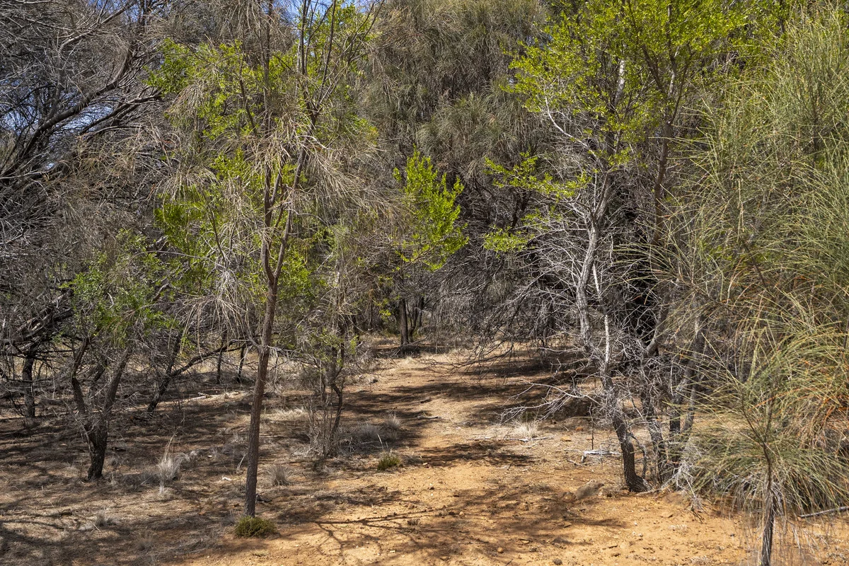 Additional image 9 of 3 Addison Street, Swansea TAS 7190