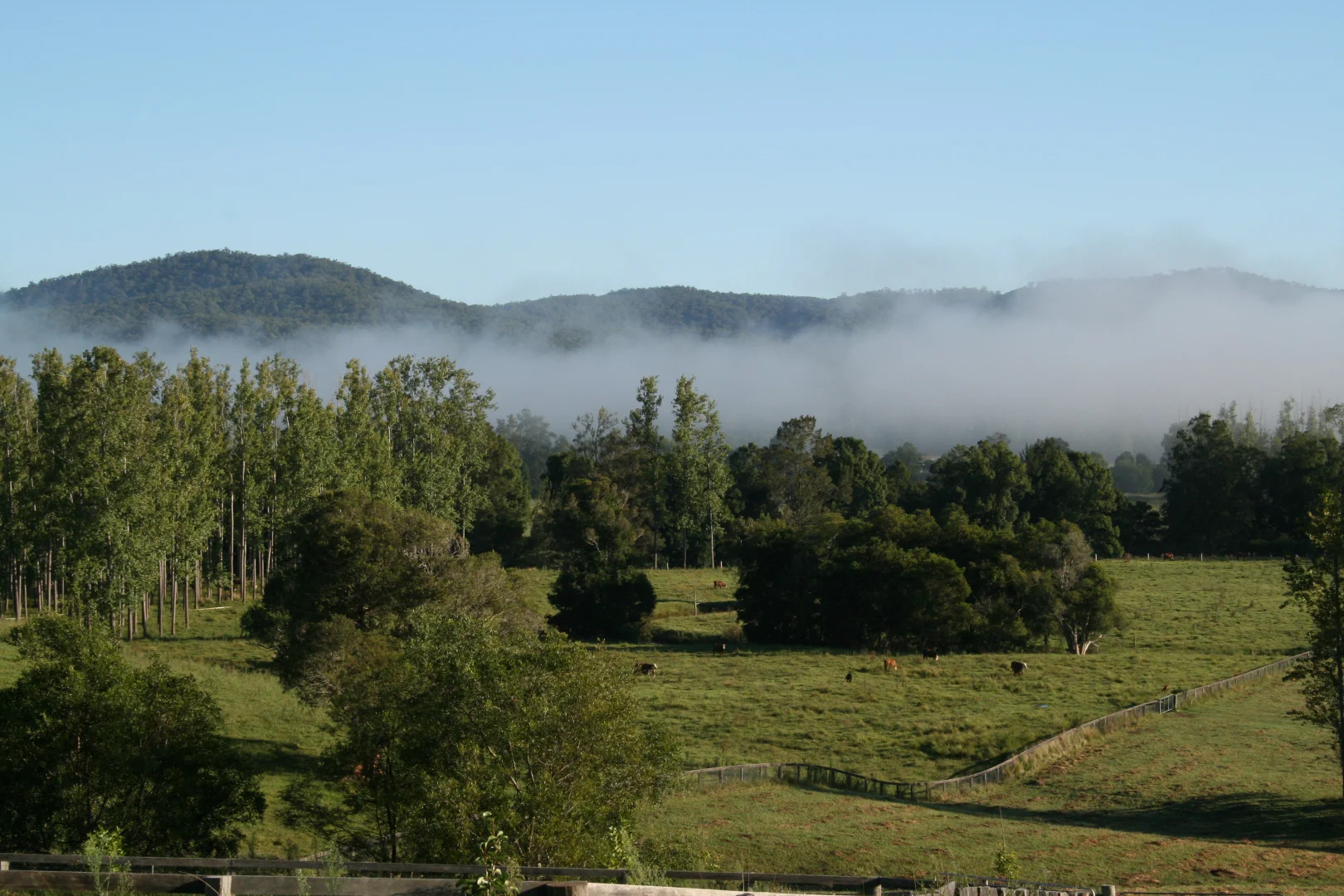 Additional image 24 of 1554 & 1598 Rollands Plains Road, Rollands Plains NSW 2441