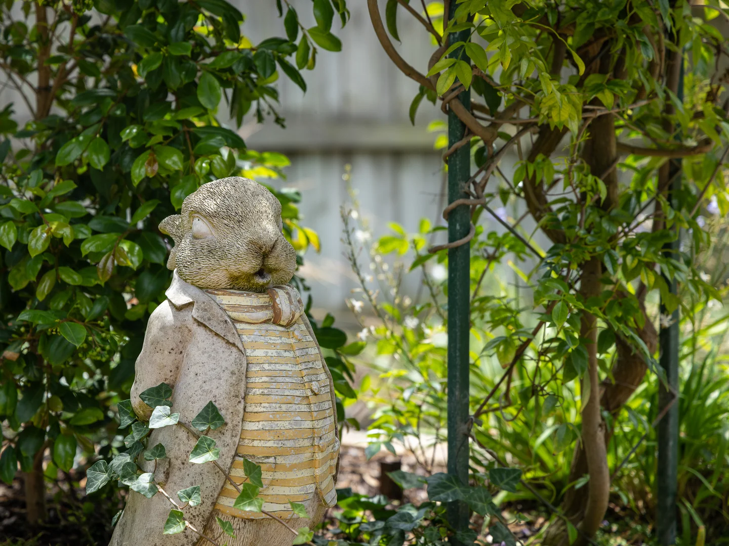 Additional image 39 of 17 Gipps Street, Port Fairy VIC 3284