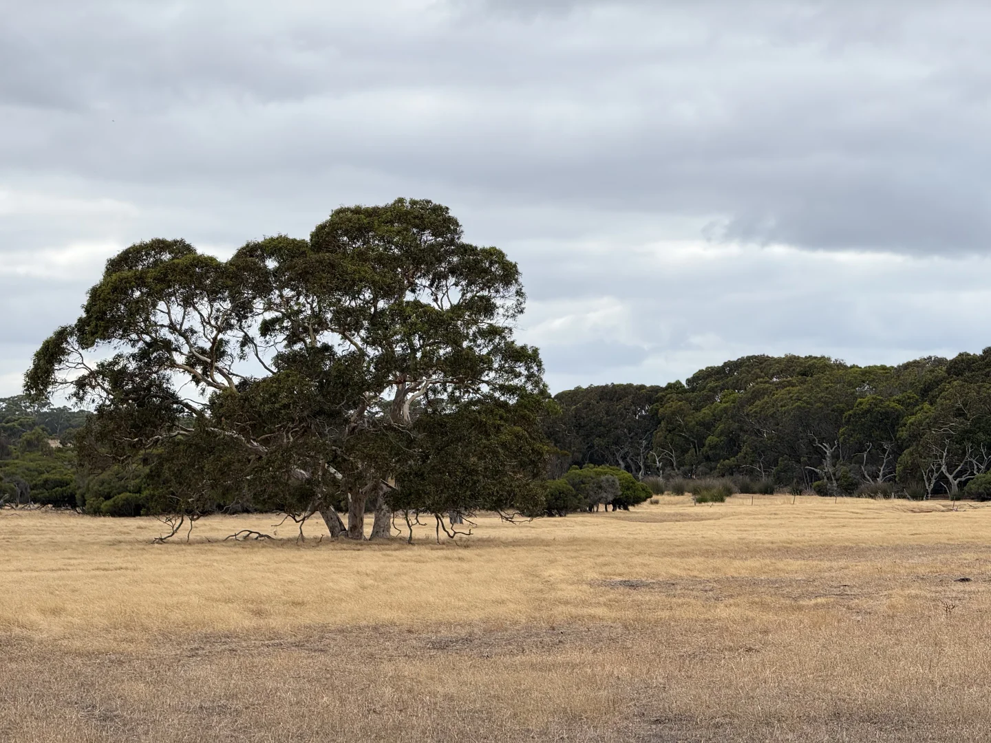 Additional image 11 of 490 East West Two Highway, Seddon SA 5223