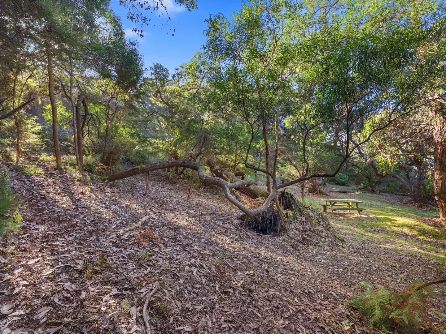 Additional image 10 of 15 Caringal Street, Waratah Bay VIC 3959