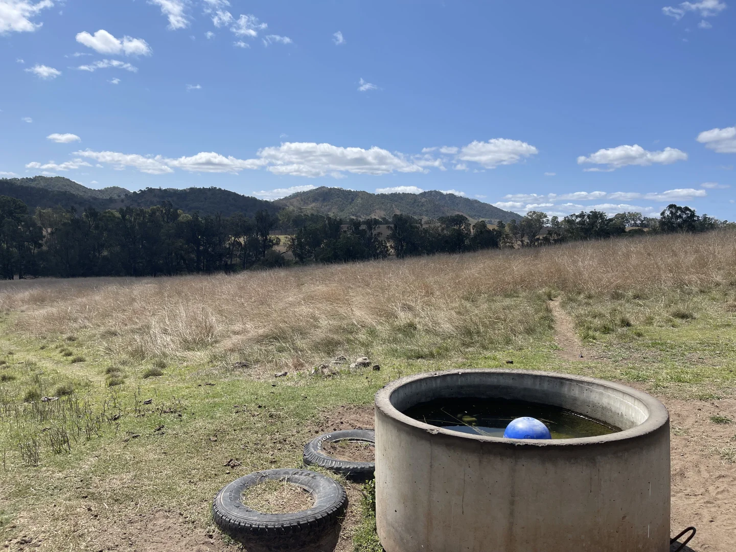 Additional image 24 of 4900 Tableland Road, Tablelands QLD 4680