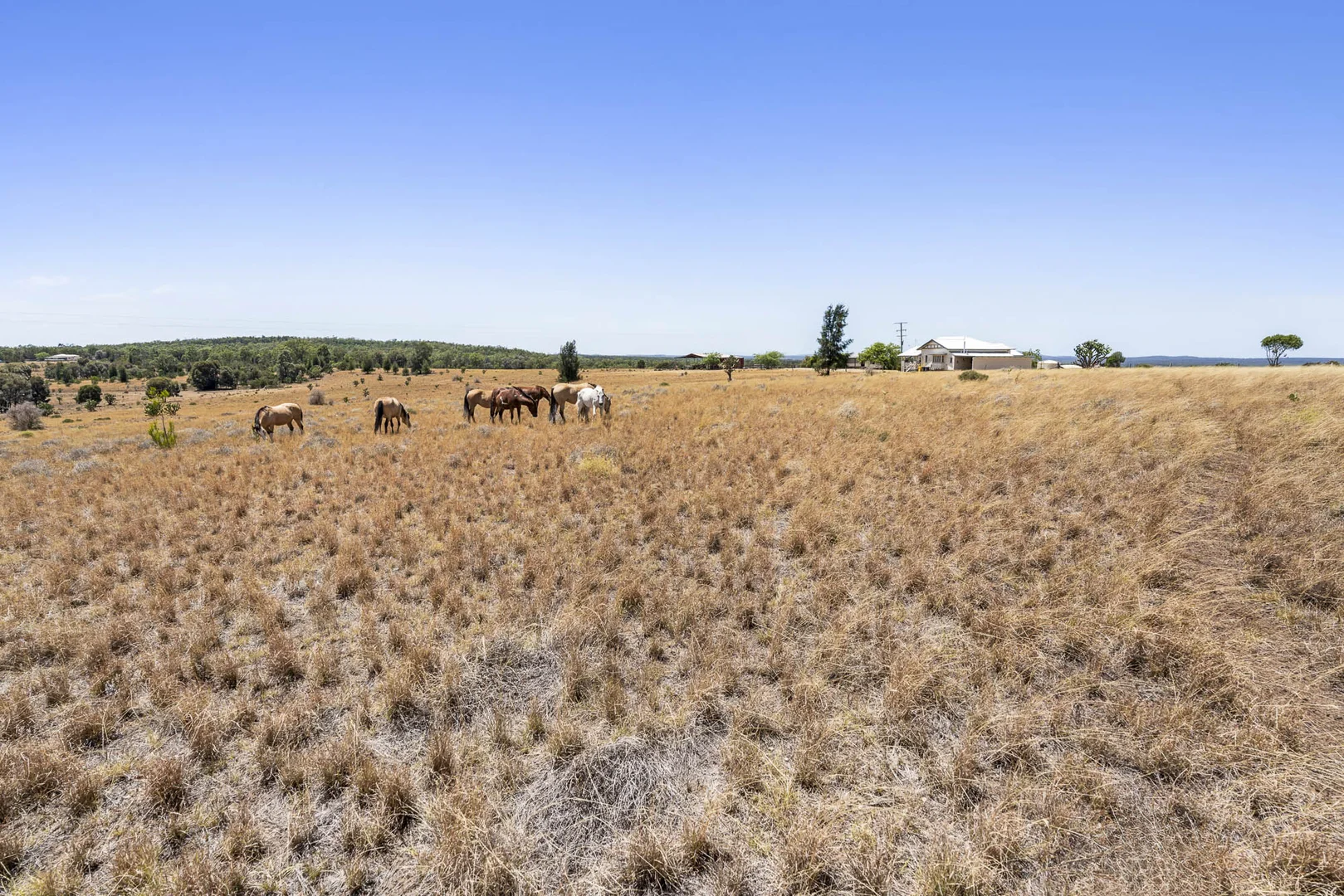 Additional image 35 of 120 Mabbet Road, Millmerran QLD 4357