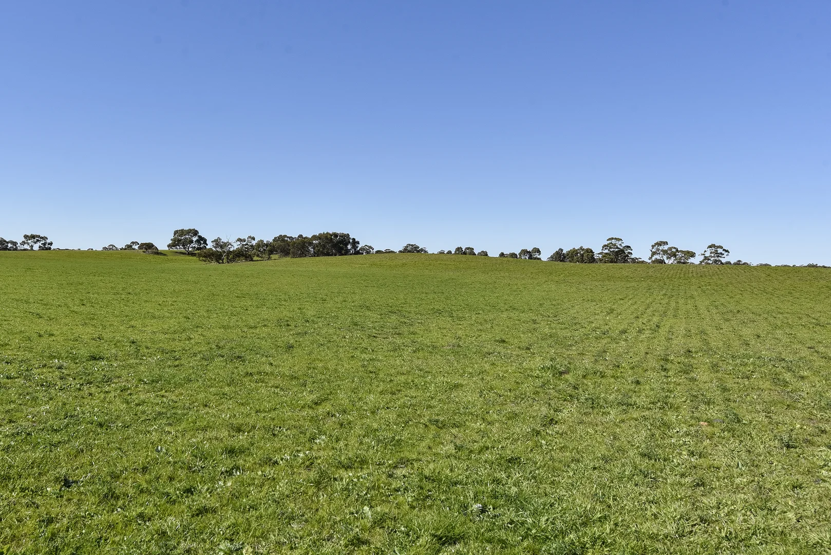 Additional image 18 of 381 & 907 Pascoe Road, Coonalpyn SA 5265