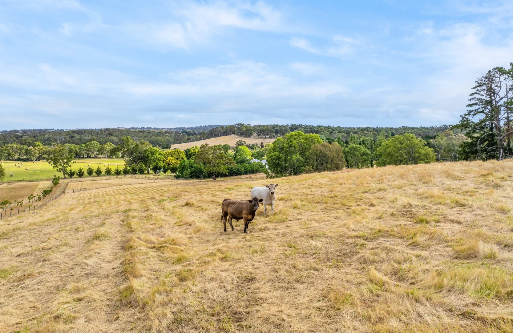 Additional image 36 of 203 Nettle Hill Road, Hindmarsh Valley SA 5211