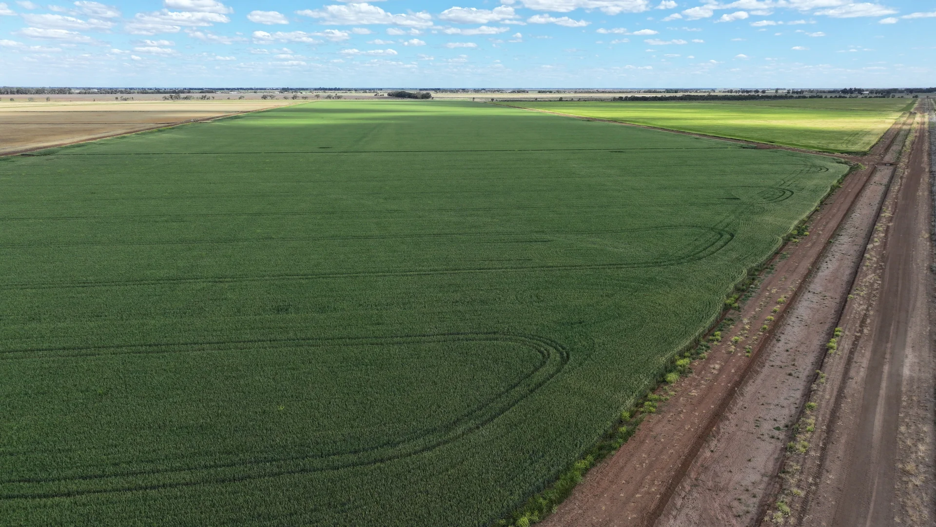 Additional image 2 of Farm 2528 Cashmere Road, Widgelli NSW 2680