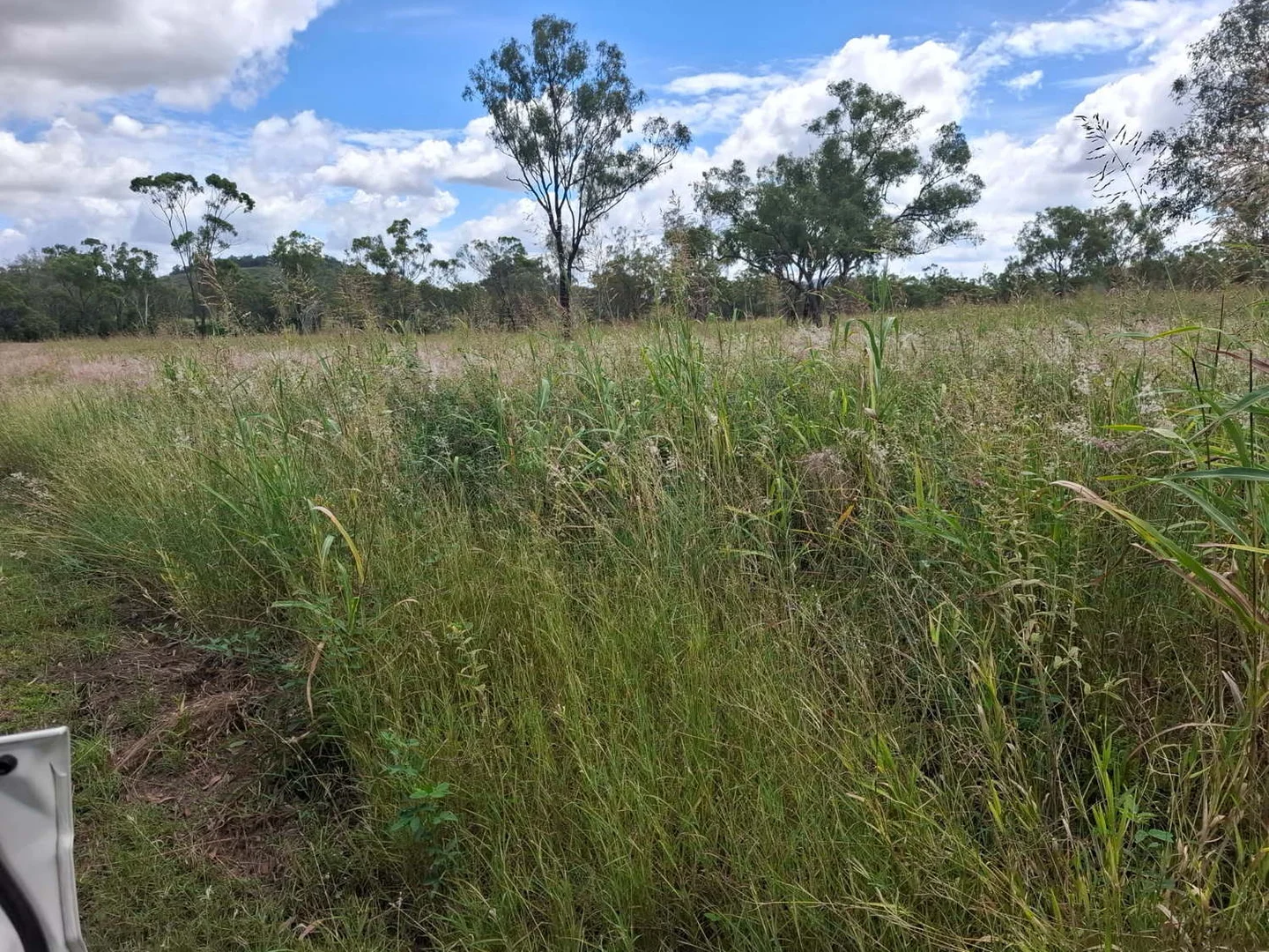 Additional image 28 of 124 Lee Farm Road, Bushley QLD 4702