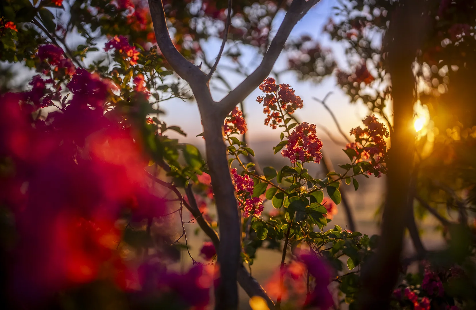 Additional image 18 of 'Mountainside' 250 Mountain Side Road, Coolah NSW 2843