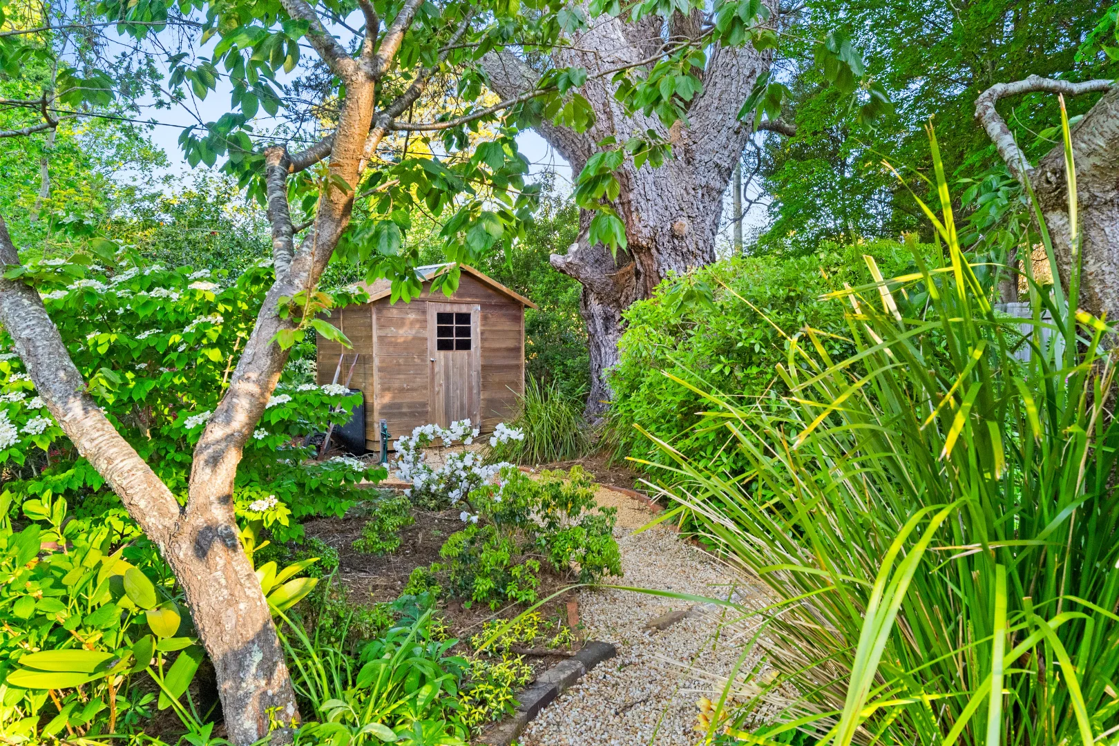 Additional image 19 of 63 Falls Road, Wentworth Falls NSW 2782