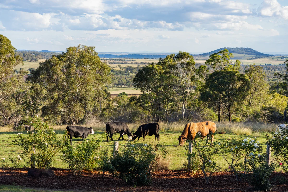 Additional image 30 of 162 Ramsay School Road, Ramsay QLD 4358