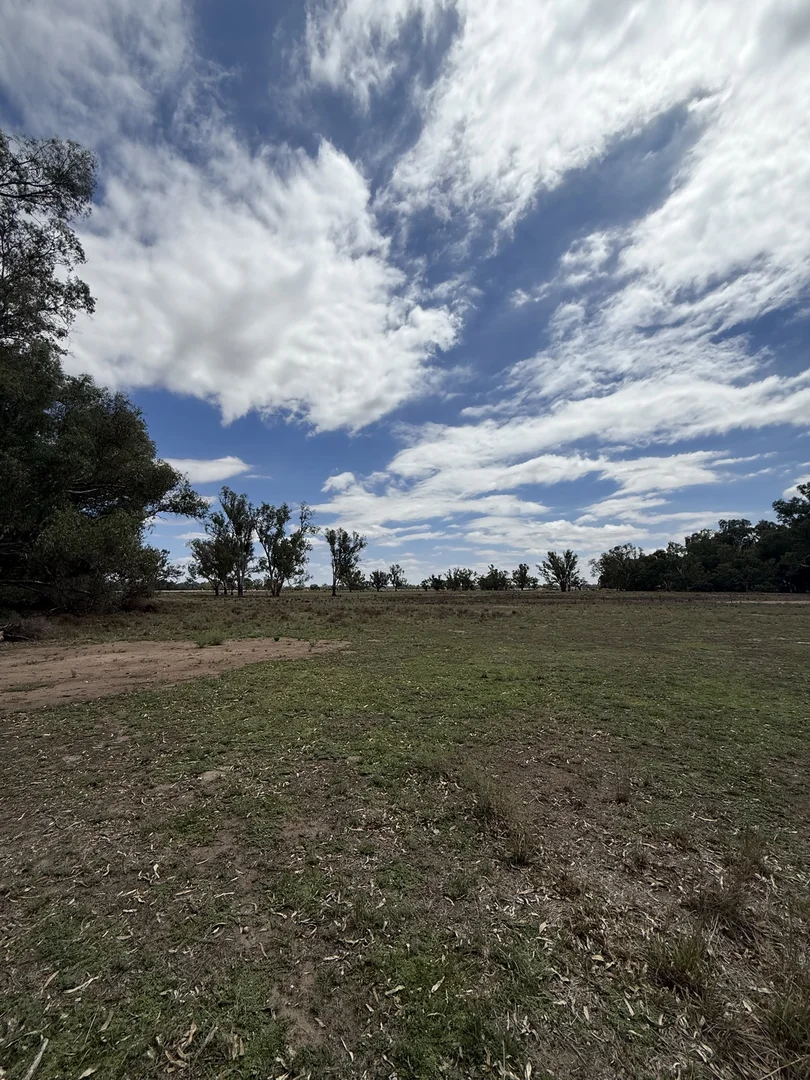 Additional image 55 of 506 North Forbes Rd, Condobolin NSW 2877