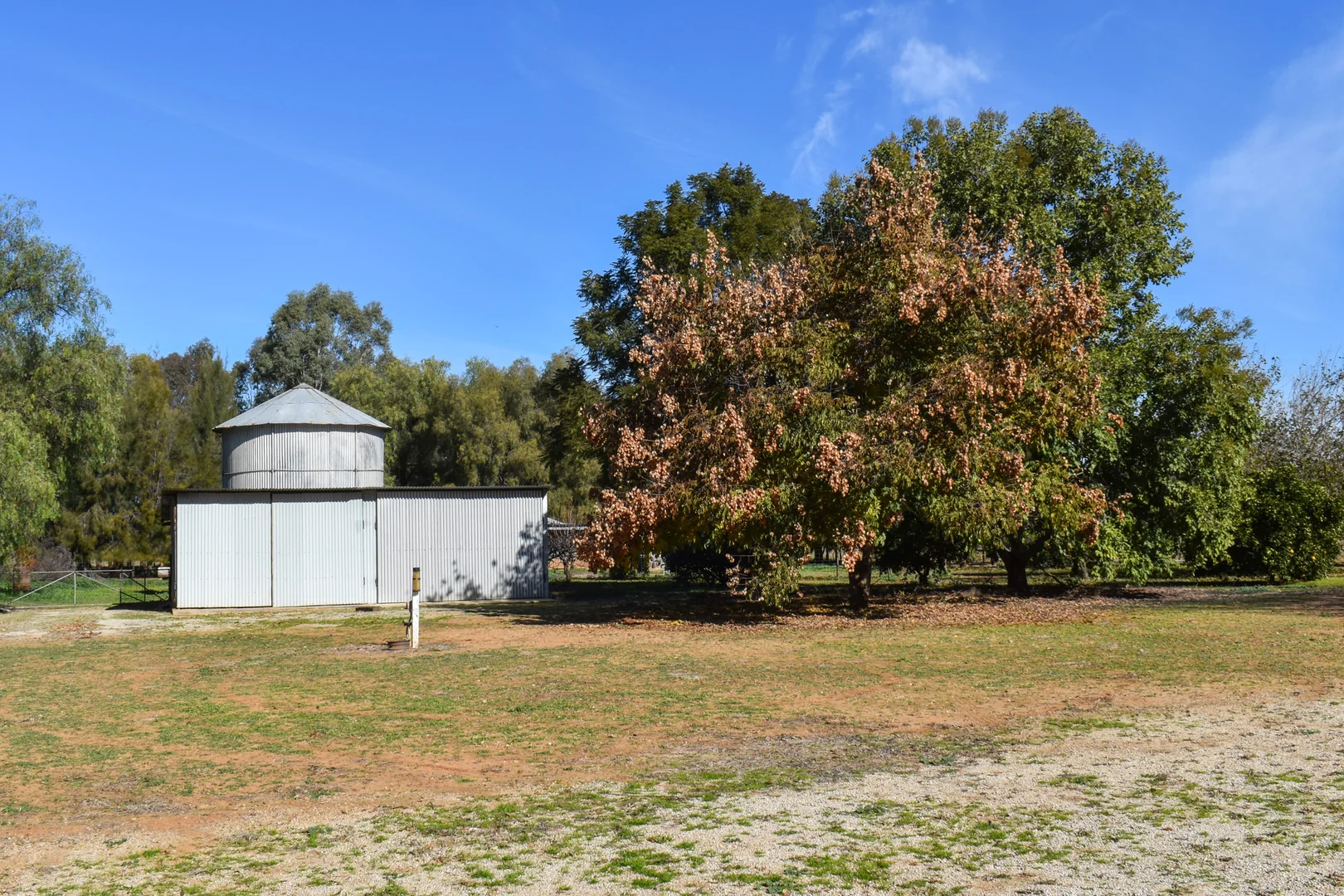 Additional image 10 of 194 South Lead Road, Forbes NSW 2871