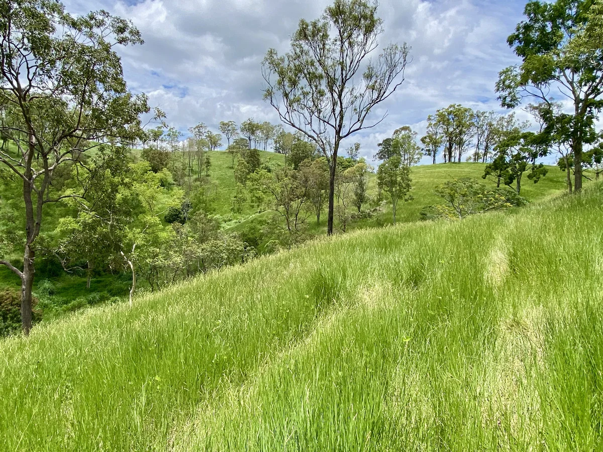 Additional image 16 of 558 Marlborough-Sarina Road, Sarina QLD 4737