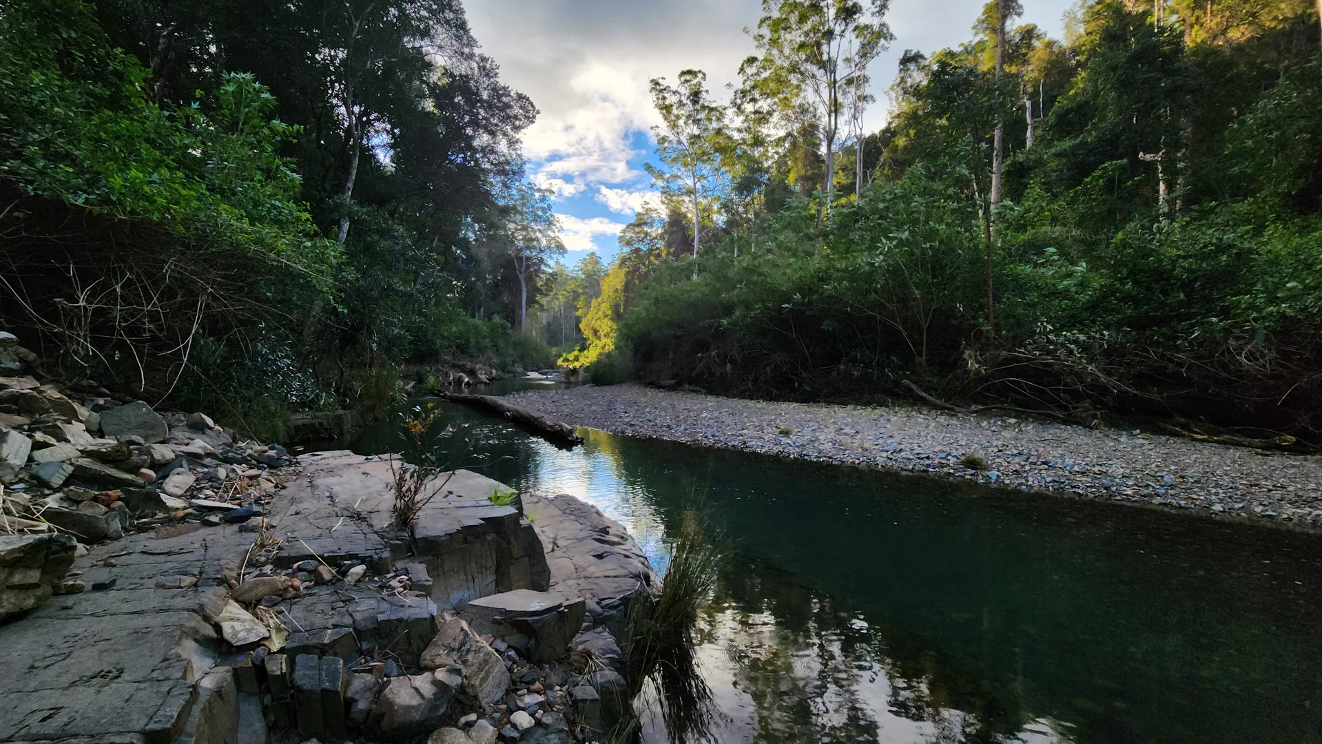 Additional image 12 of 427 Shaws Road, Hollisdale NSW 2446