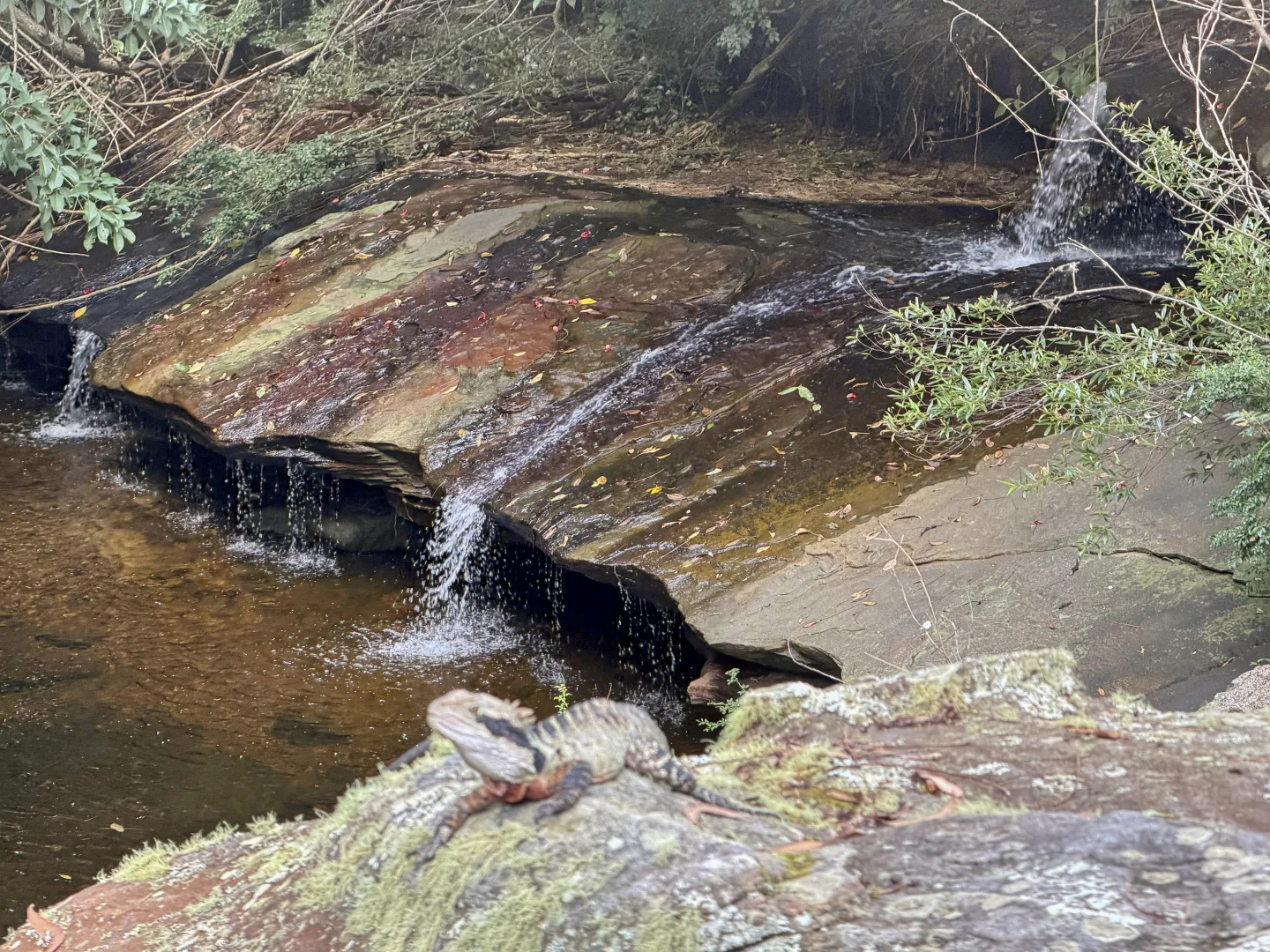 Additional image 26 of 311/81 Willandra Road, Narraweena NSW 2099