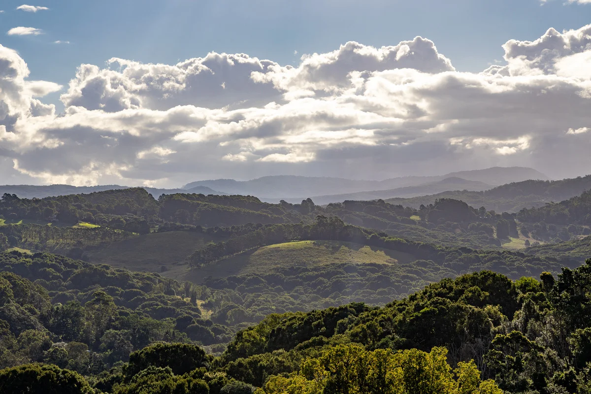 Additional image 14 of 4/400 Coorabell Road, Coorabell NSW 2479