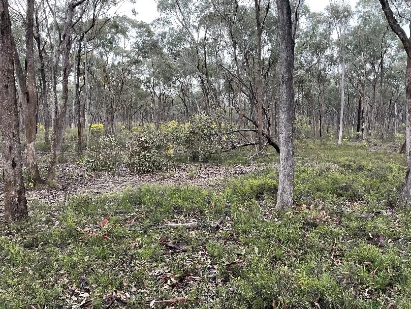 Additional image 2 of _ CA's 32, 33A, 34 & Lot 1 Off Gunyah Track, Wellsford VIC 3551