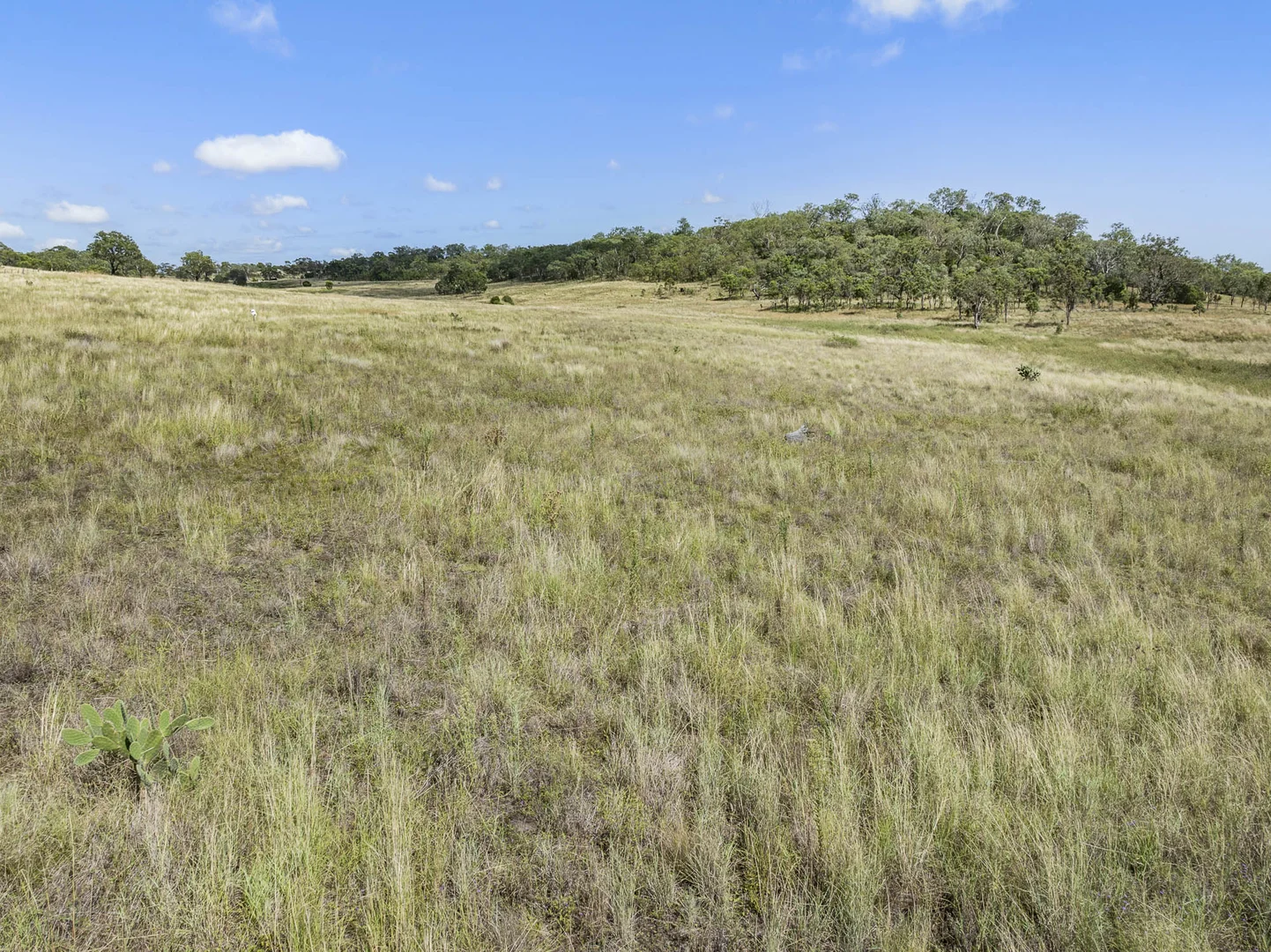 Additional image 27 of 212 Avondale Road, Pittsworth QLD 4356